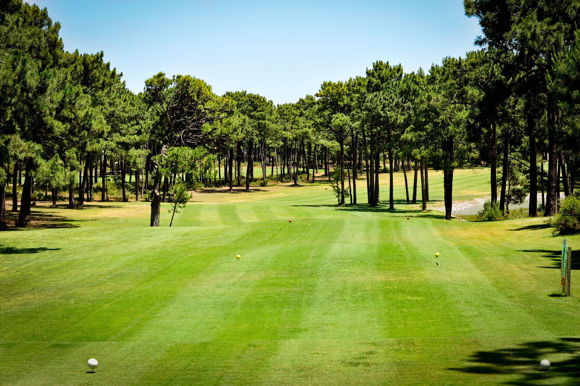 Aroeira Golf Courses | Aroeira Pines Classic
