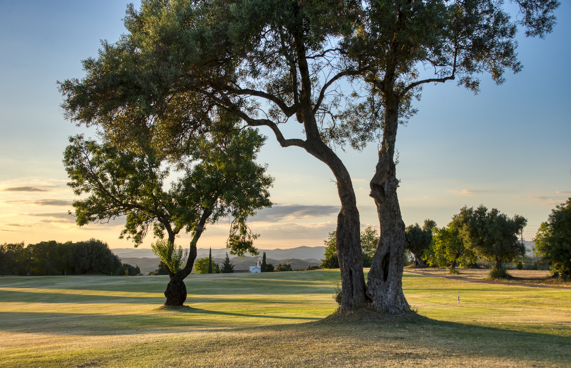 Benamor Golf | Golf på Algarve