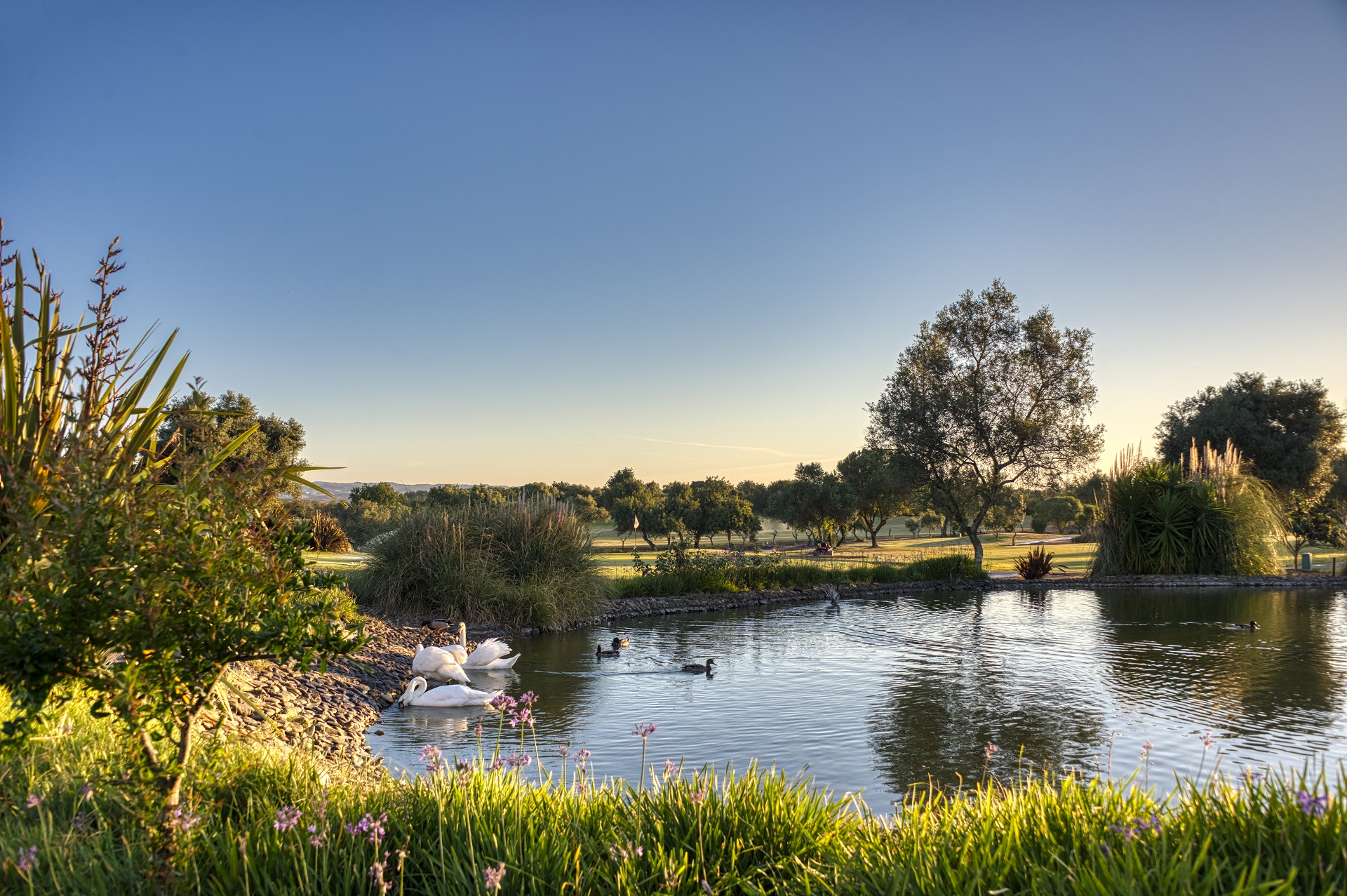 Benamor Golf | Golf på Algarve
