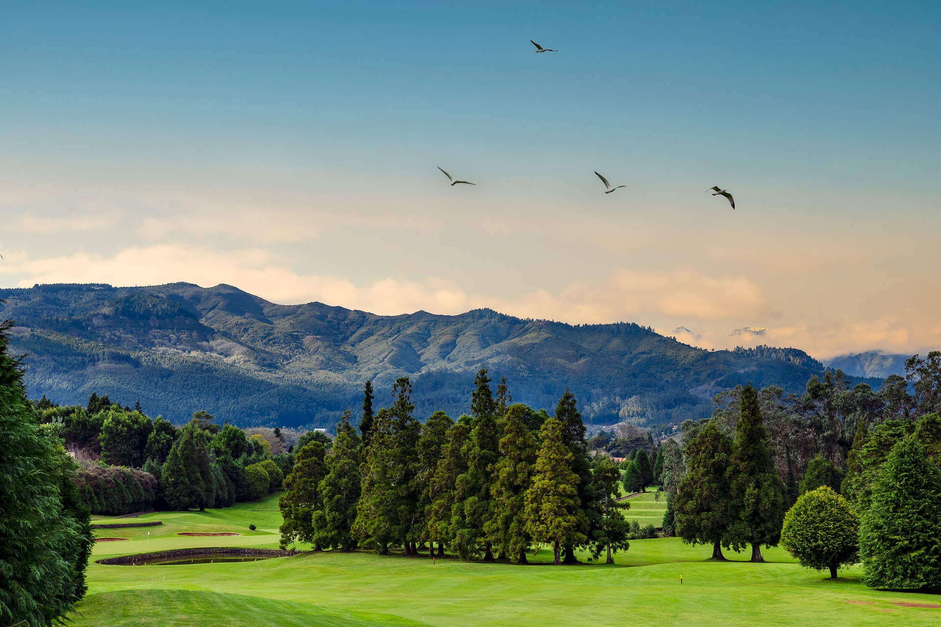 Clube Golfe Santo da Serra | Golf på Madeira