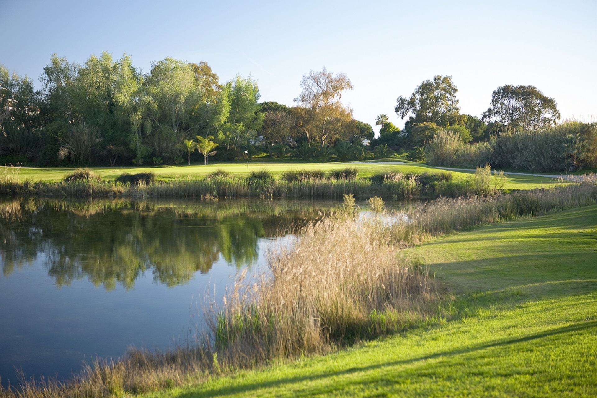 Dom Pedro Laguna | Golf på Algarve