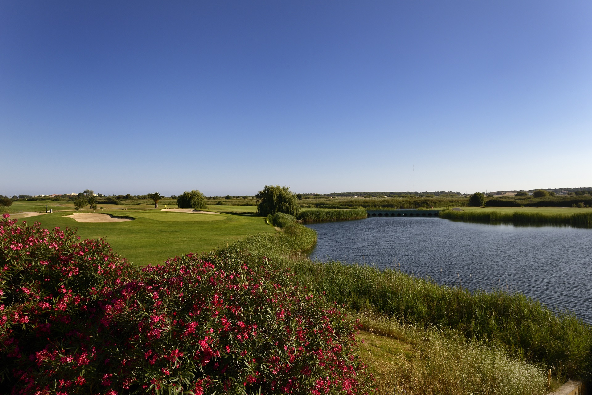 Dom Pedro Laguna | Golf på Algarve