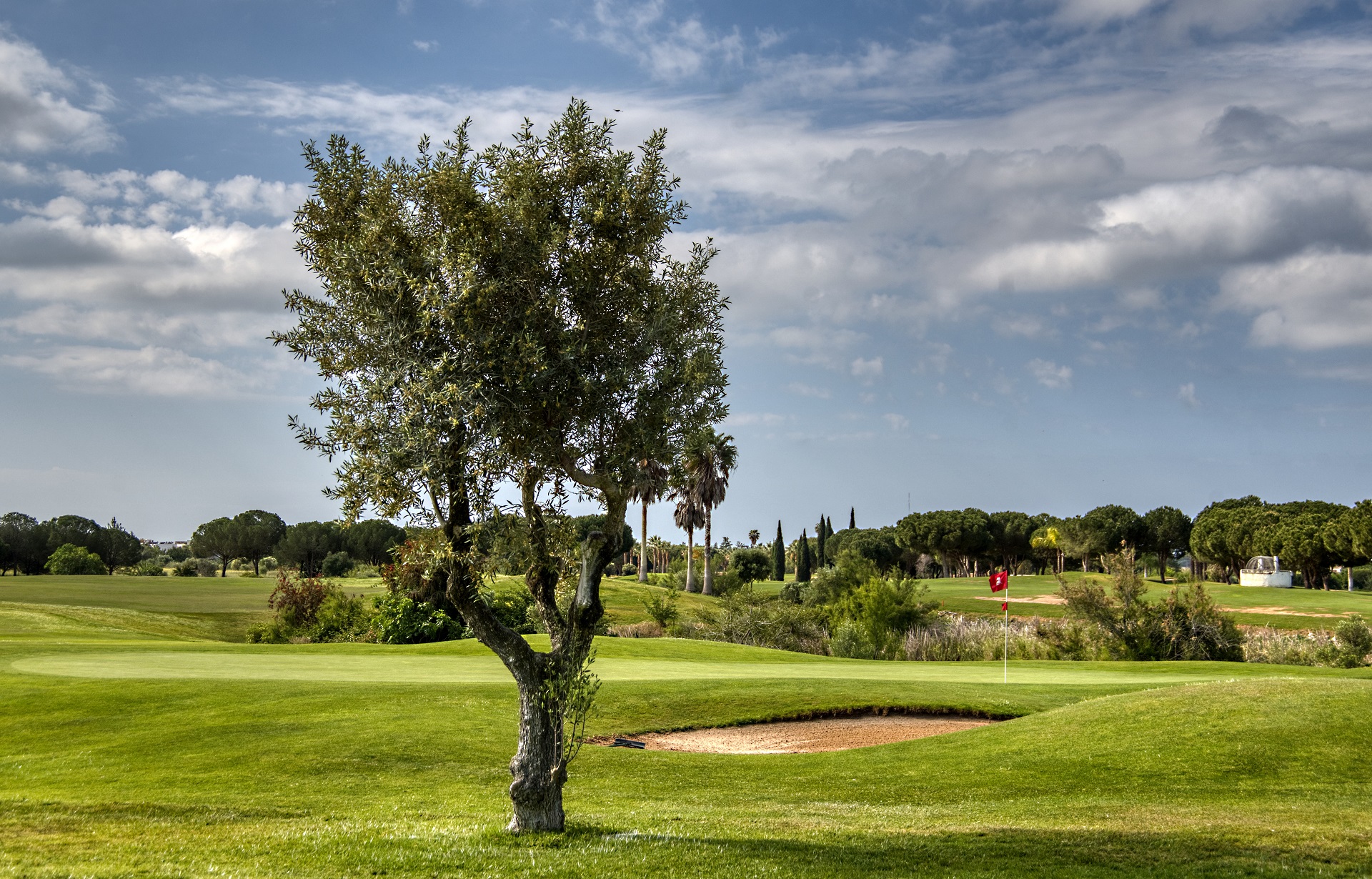 Dom Pedro Millennium | Golf i Vilamoura, Algarve