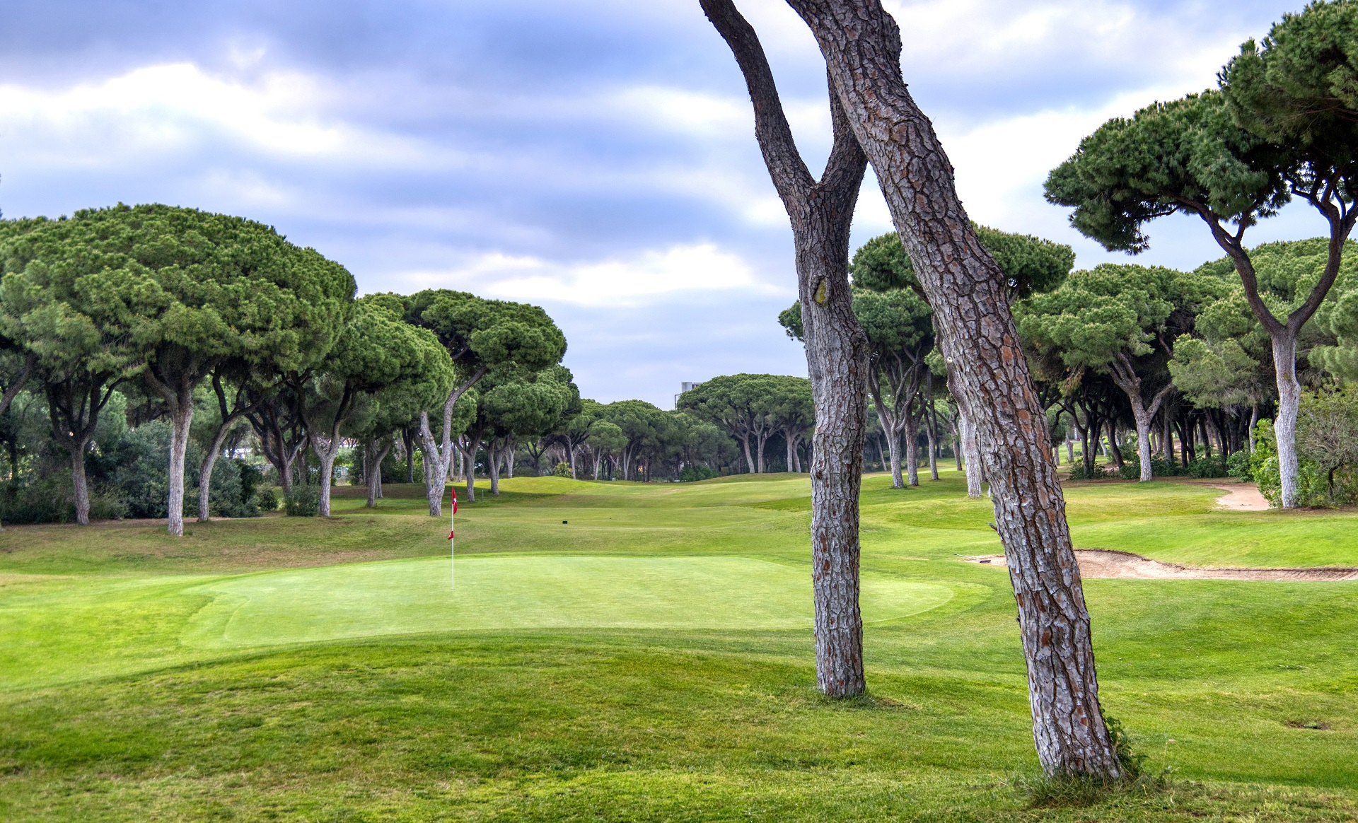 Dom Pedro Millennium | Golf i Vilamoura, Algarve