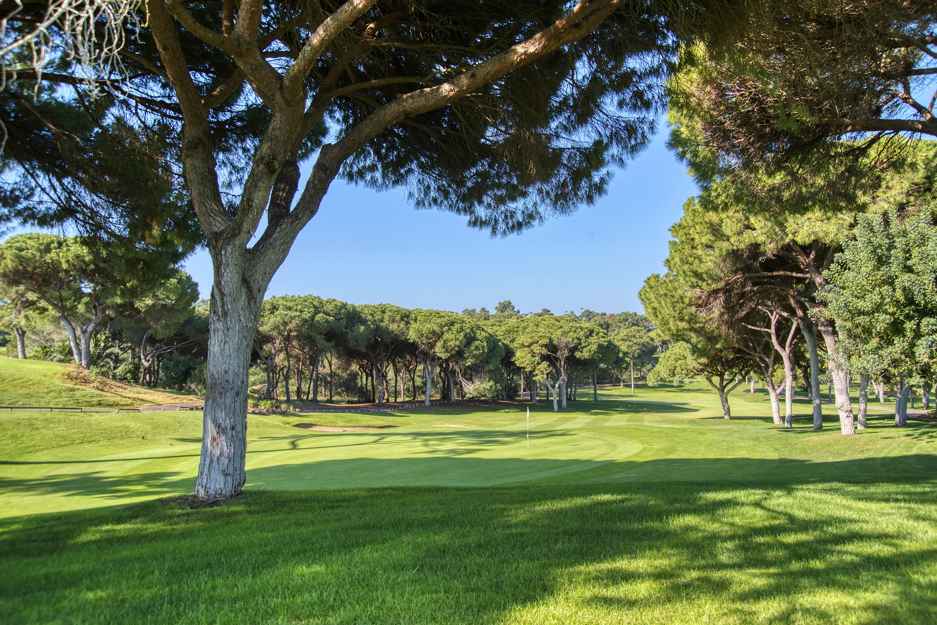 Dom Pedro Old Course | Golf i Vilamoura, Algarve