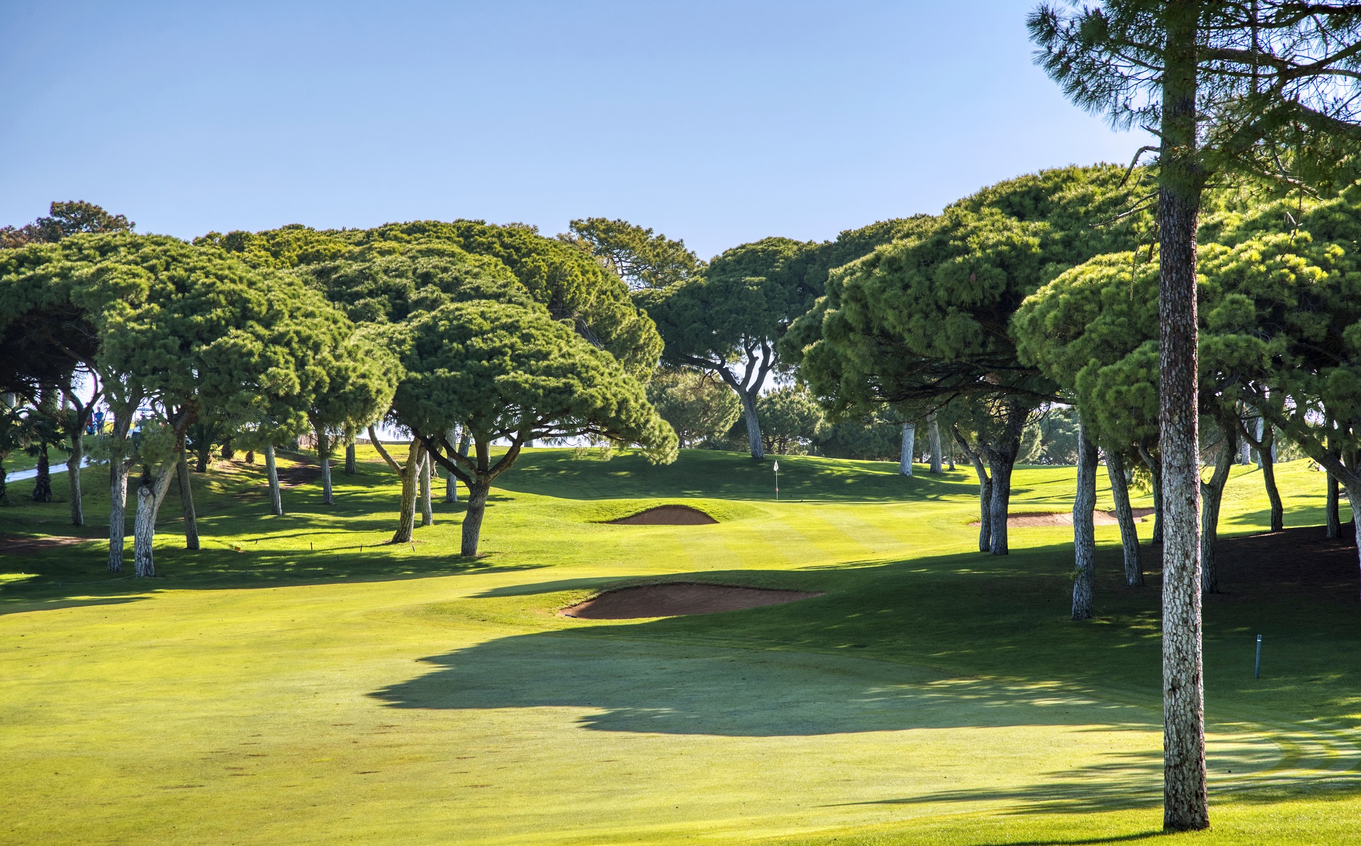 Dom Pedro Old Course | Golf i Vilamoura, Algarve
