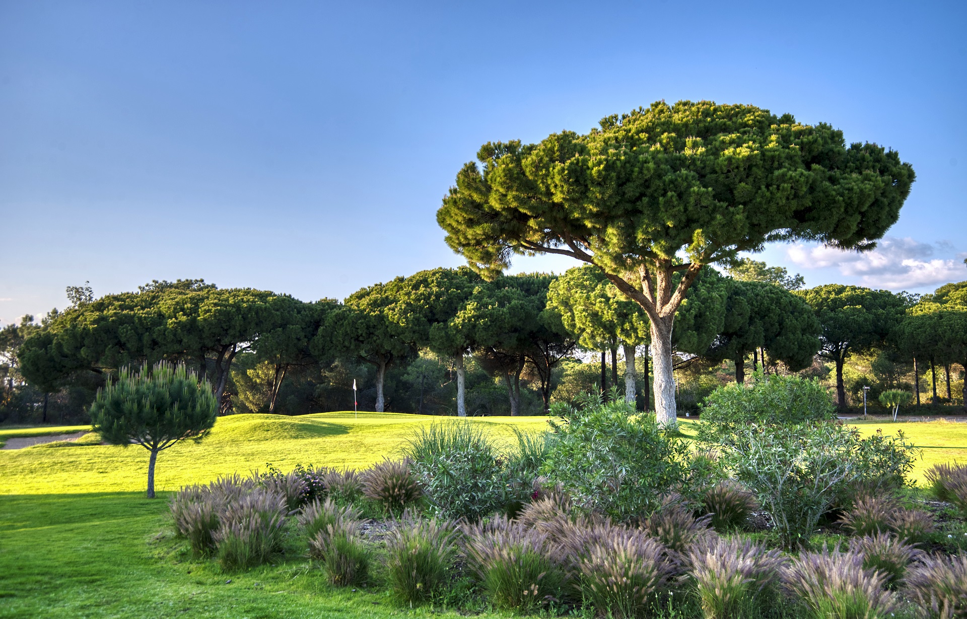 Dom Pedro Pinhal | Golf i Vilamoura, Algarve