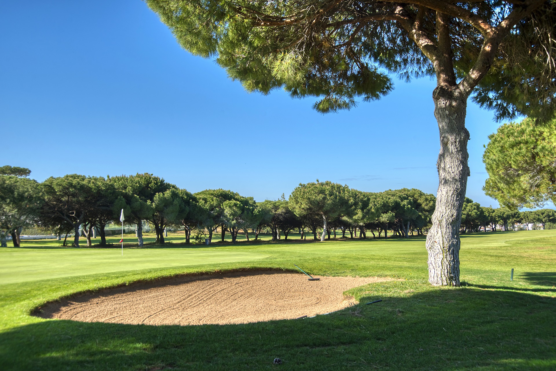 Dom Pedro Pinhal | Golf i Vilamoura, Algarve