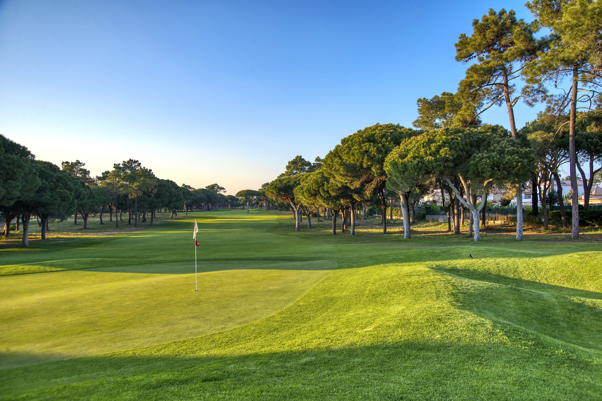 Dom Pedro Pinhal | Golf i Vilamoura, Algarve