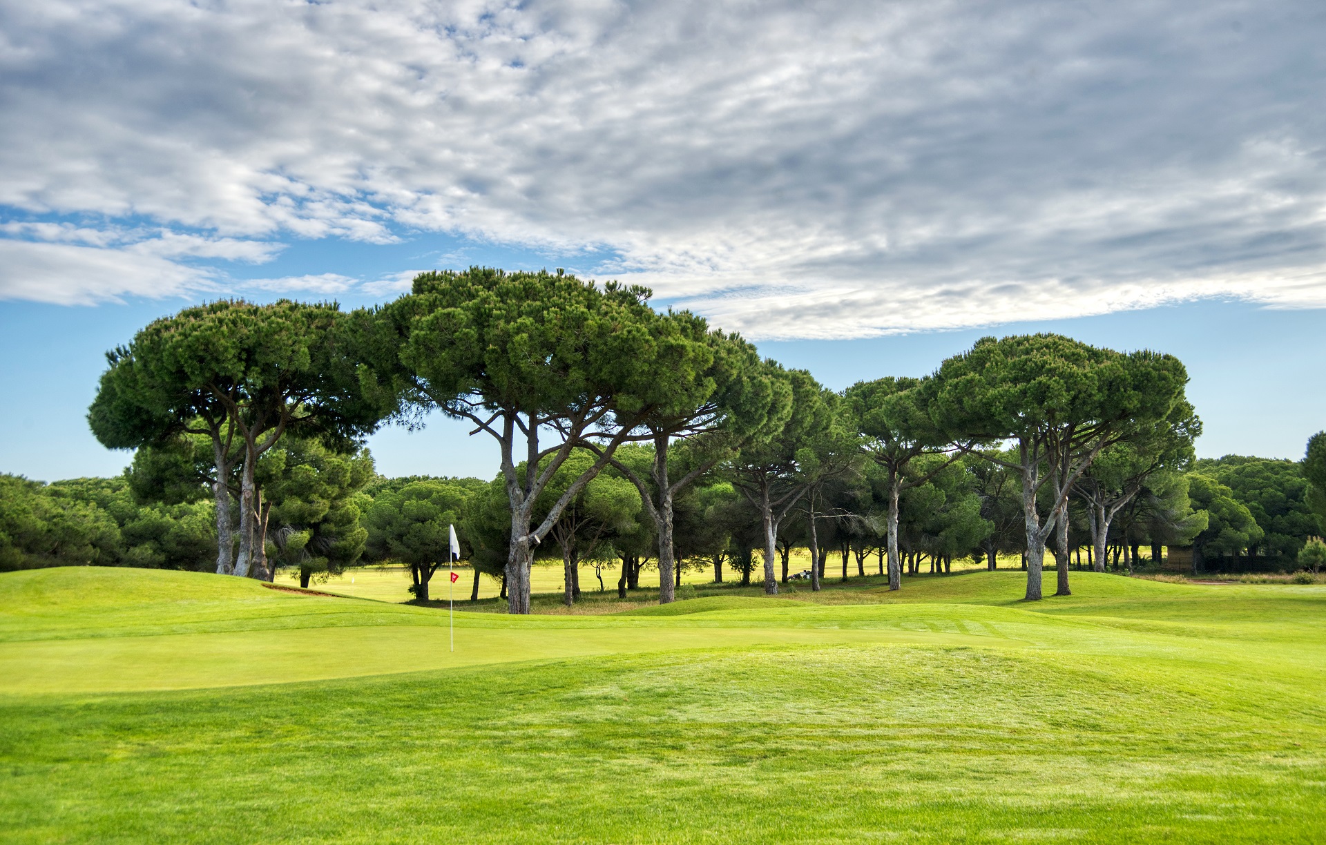 Dom Pedro Pinhal | Golf i Vilamoura, Algarve