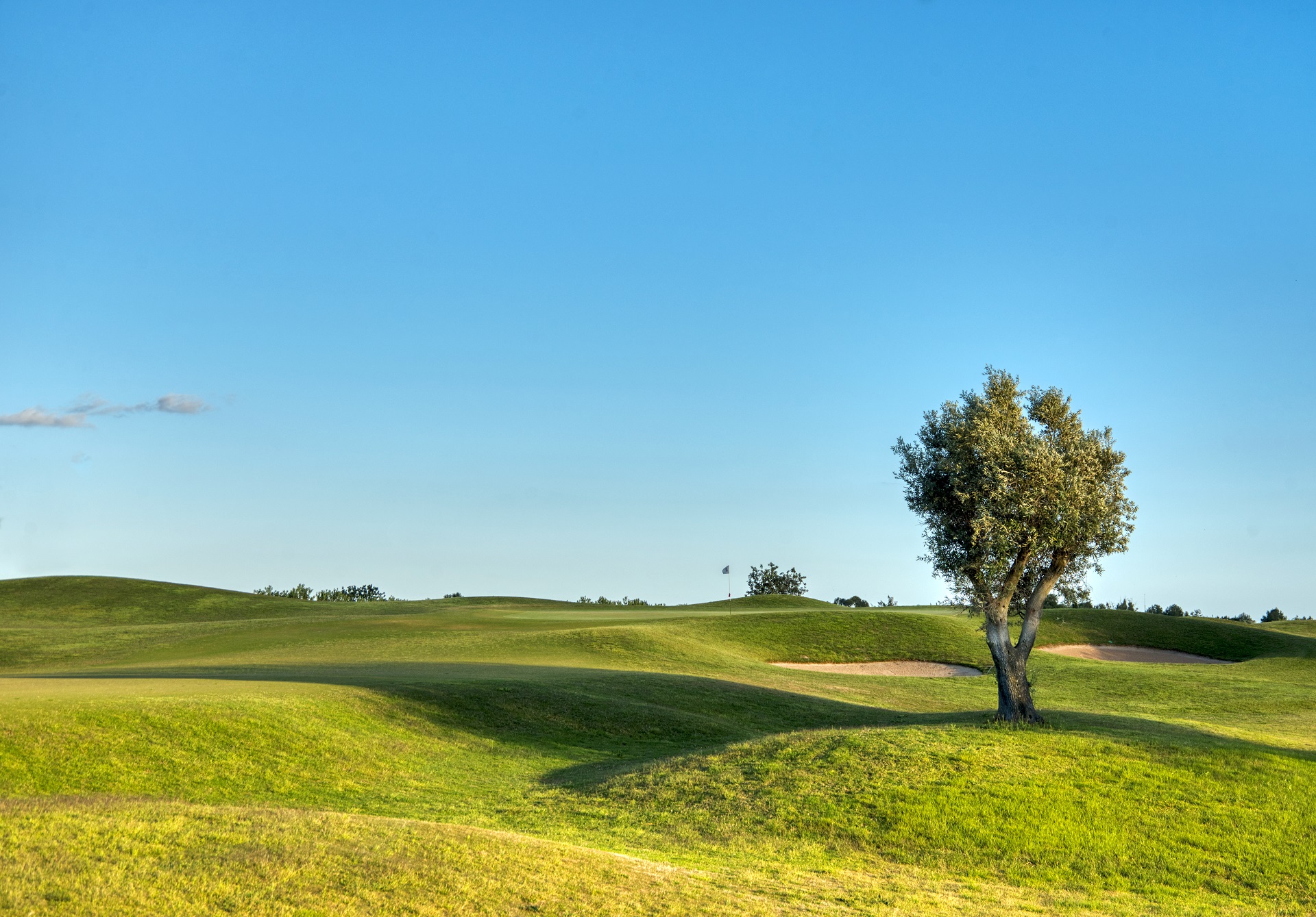 Dom Pedro Victoria Golf Course | Golf i Vilamoura, Algarve