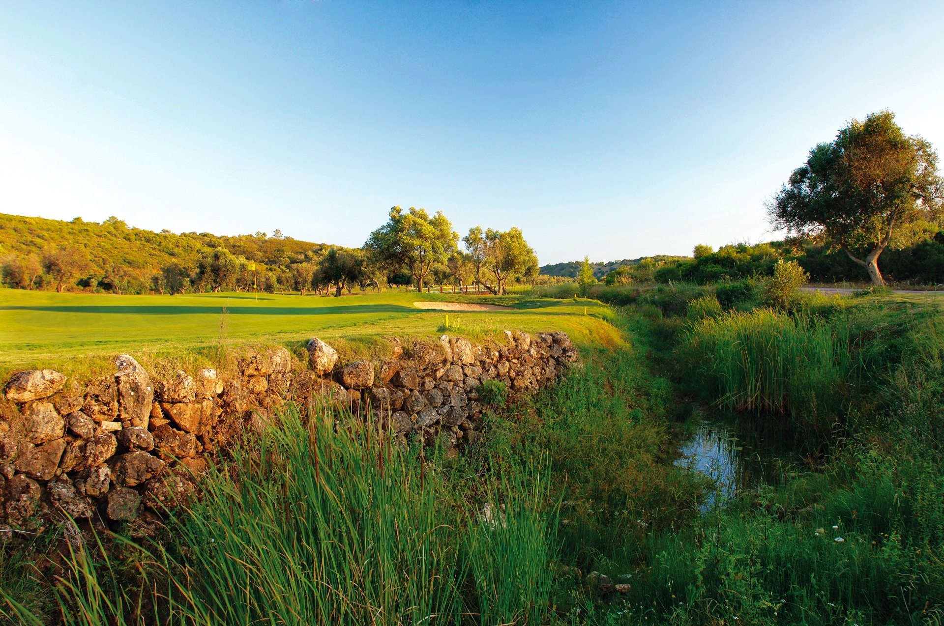 NAU Morgado Golf & Country Club | Álamos Golf Course
