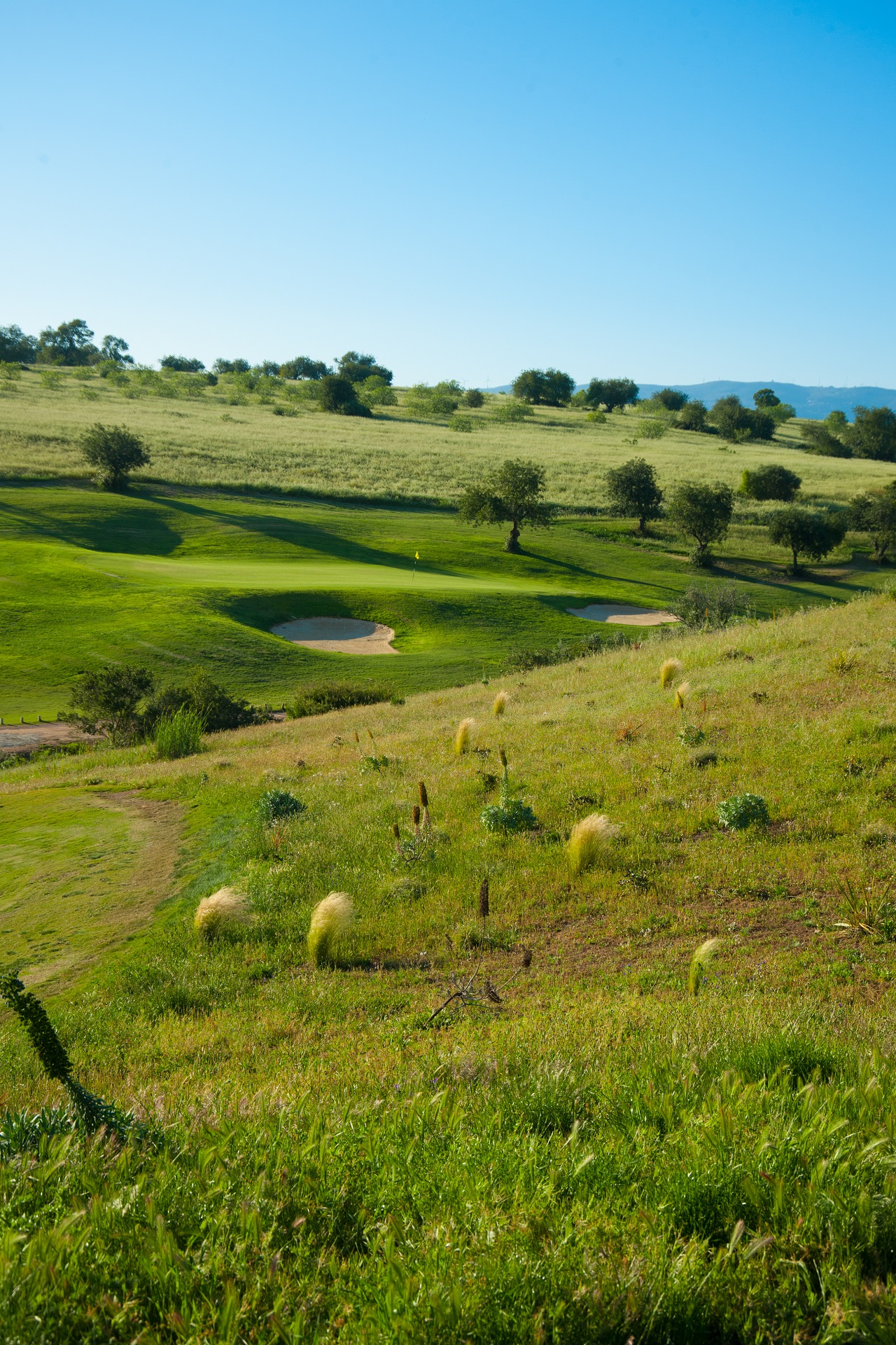 NAU Morgado Golf & Country Club | Álamos Golf Course