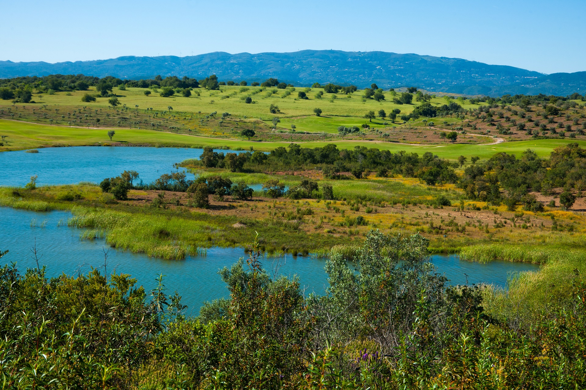 NAU Morgado Golf & Country Club | Álamos Golf Course