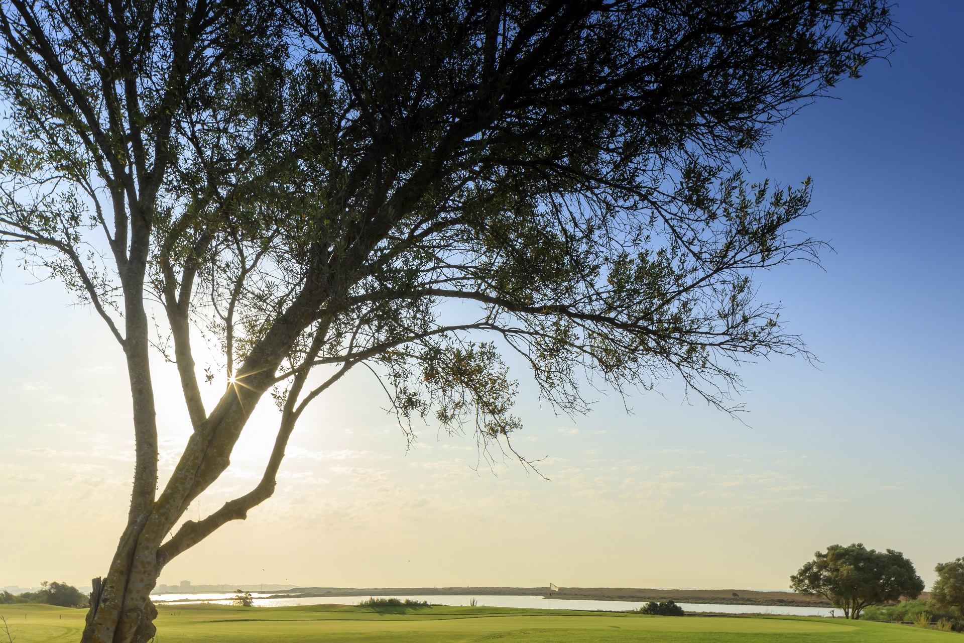 Palmares Resort - Ocean Living & Golf
