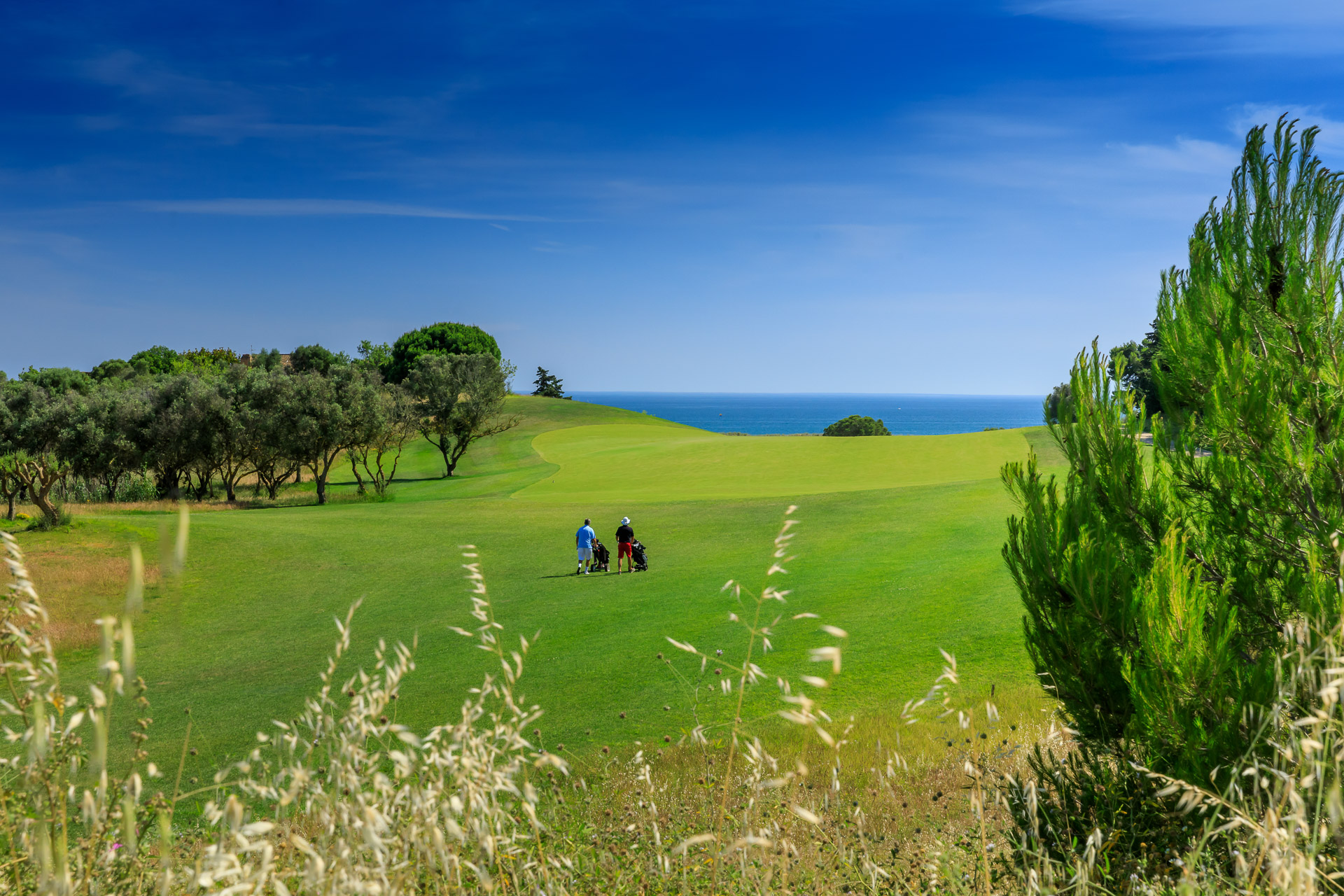 Palmares Resort - Ocean Living & Golf