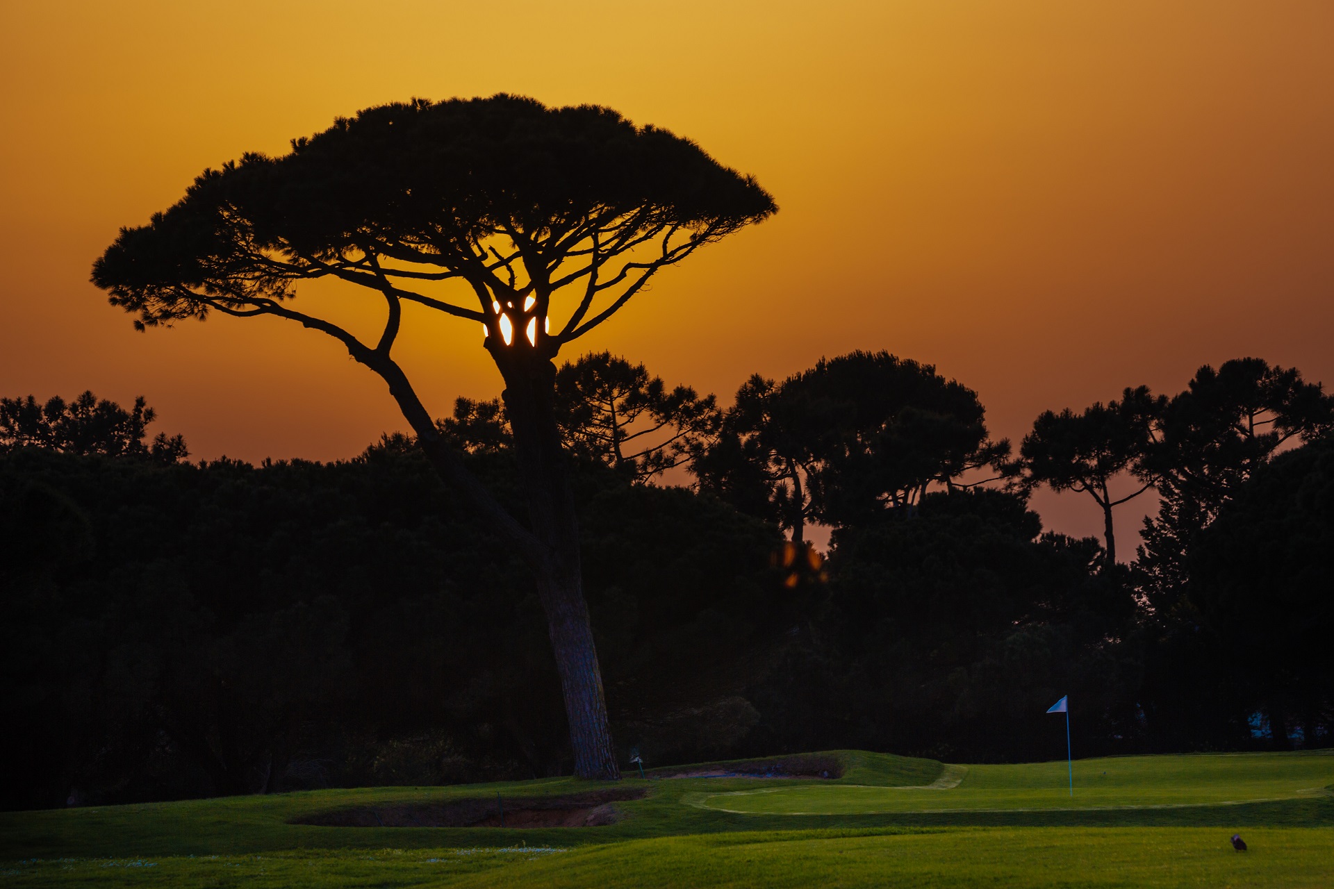 Onyria Quinta da Marinha Resort