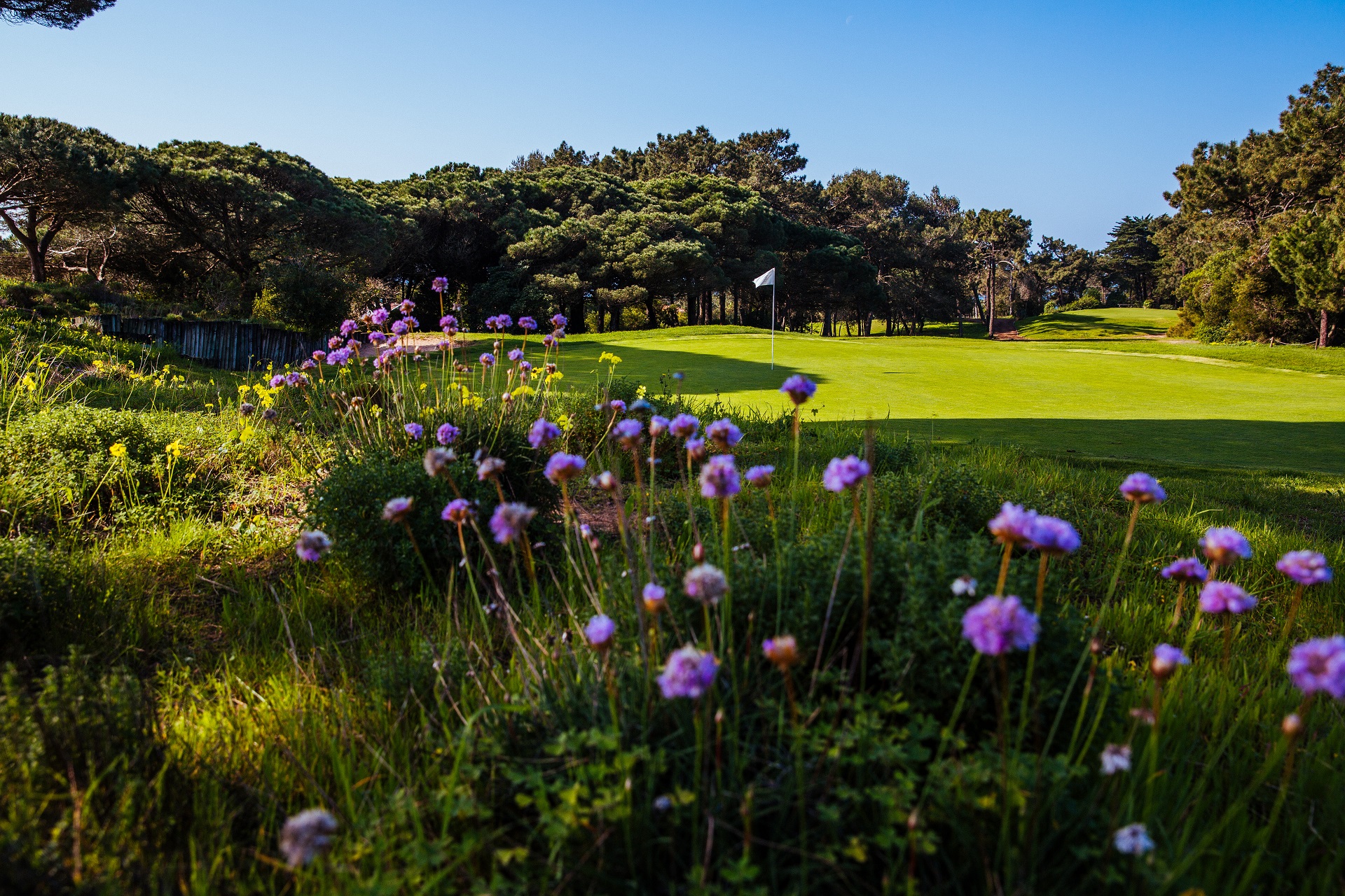 Onyria Quinta da Marinha Resort