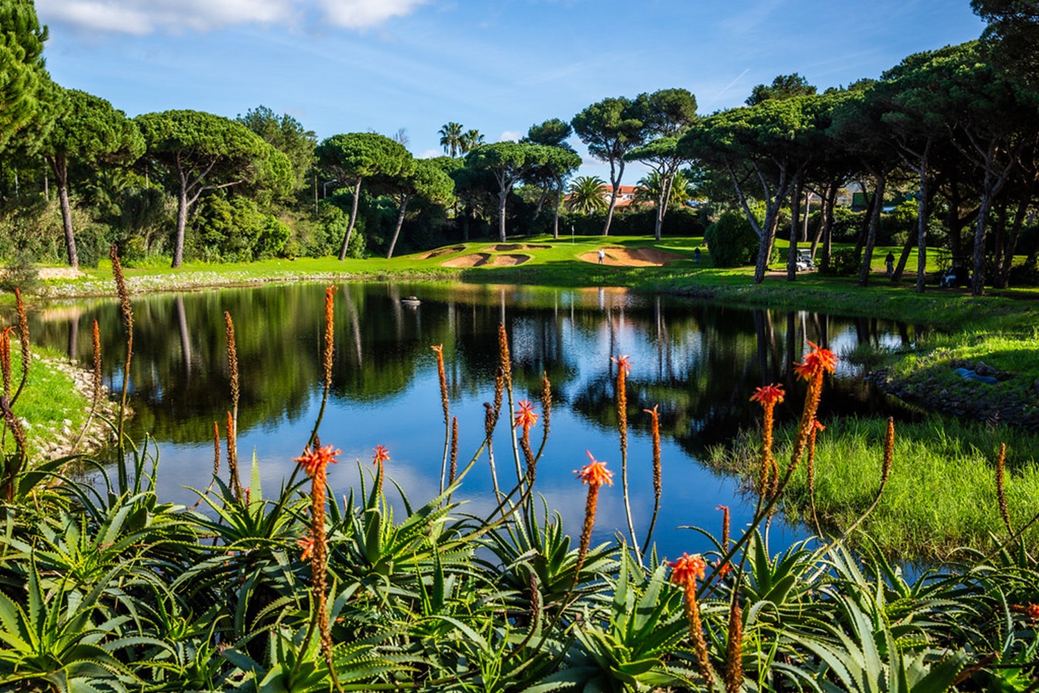 Onyria Quinta da Marinha Resort