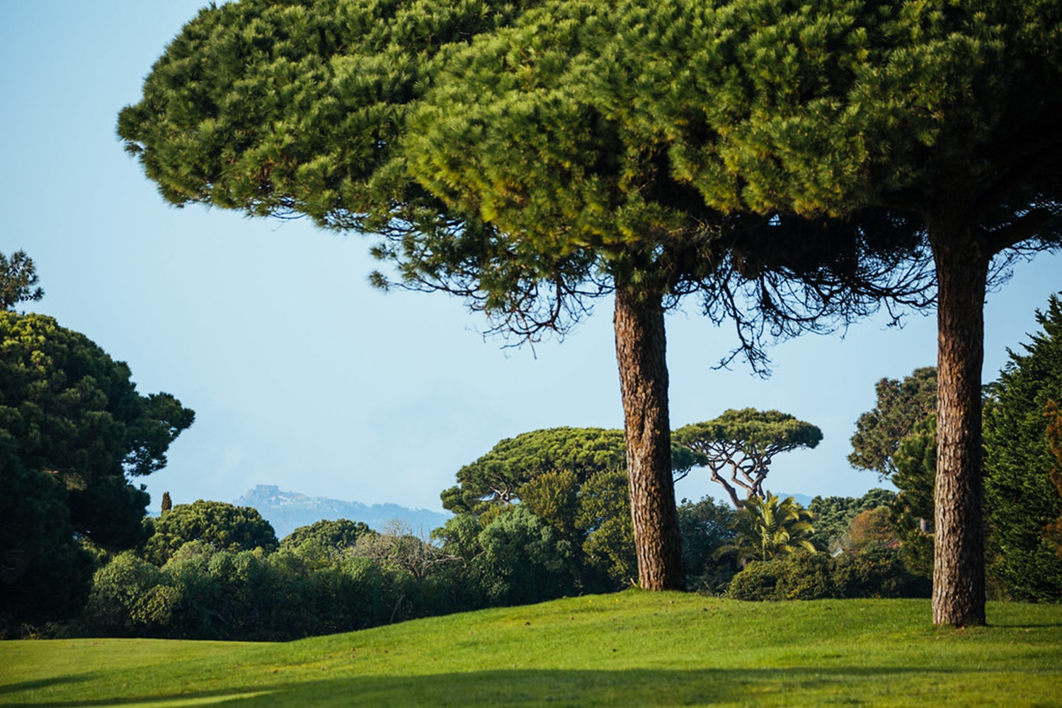 Onyria Quinta da Marinha Resort