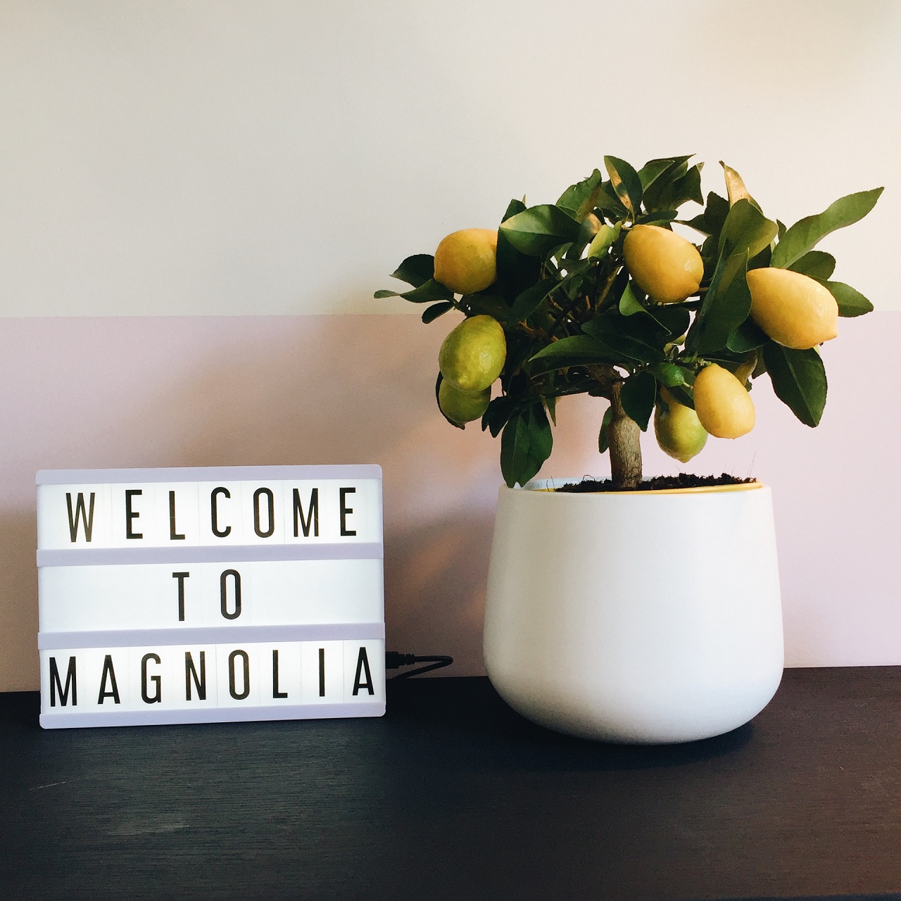 Quinta do Lago Resort | Magnolia Hotel