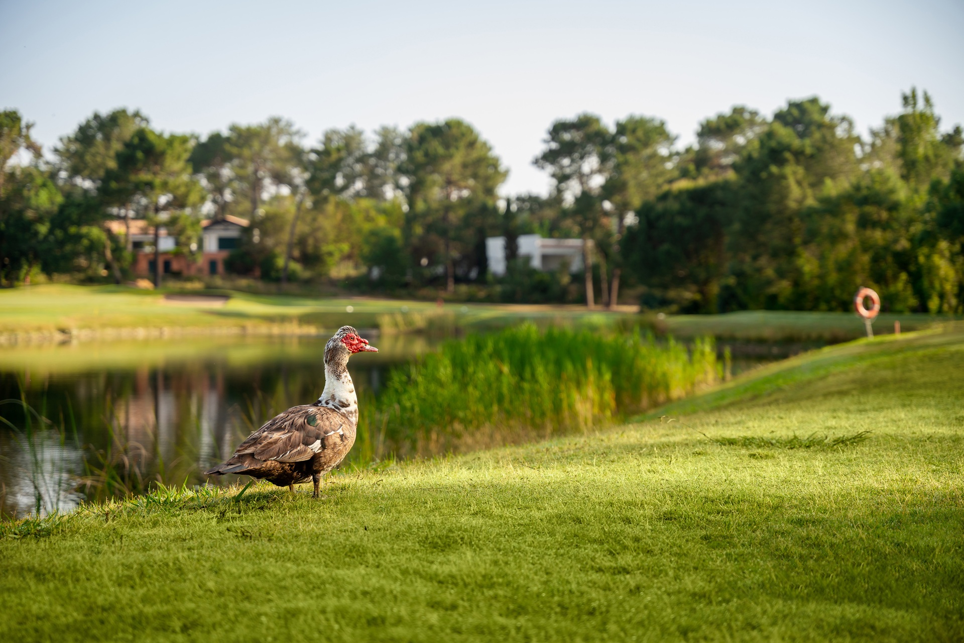 Quinta do Peru Golf & Country