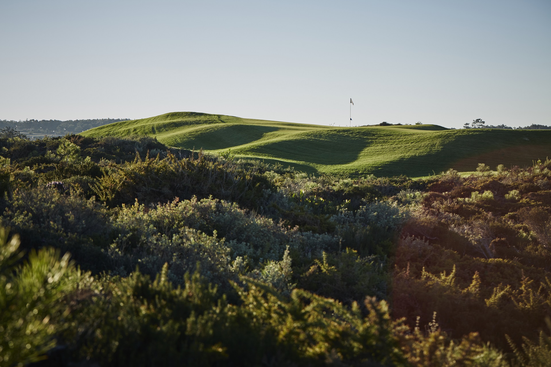 West Cliffs Ocean and Golf Resort