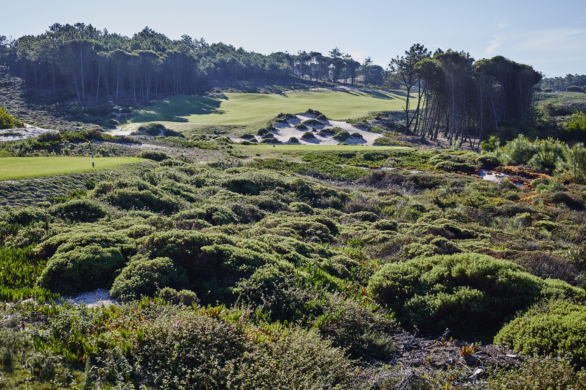 West Cliffs Golf Course