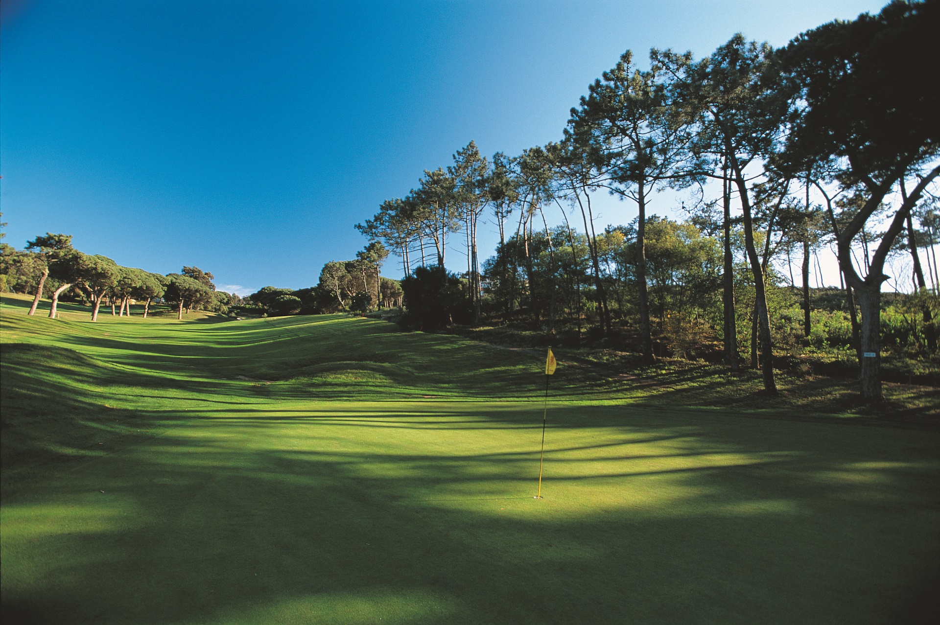 Palacio Estoril Hotel Golf & Spa
