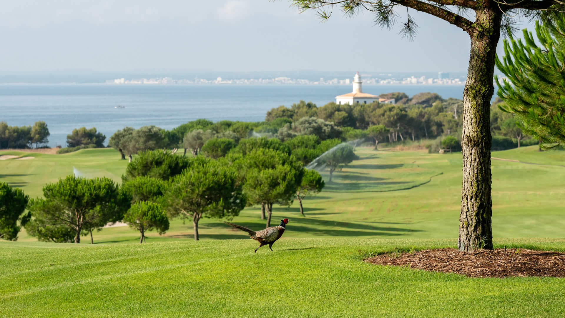 Alcanada Golf Club | Golf på Mallorca