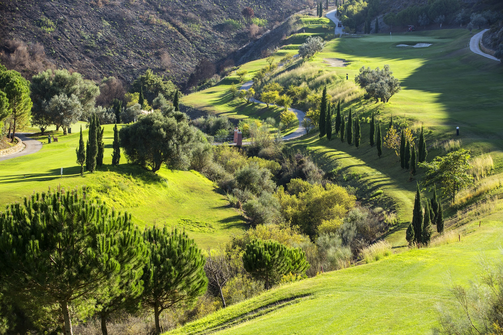 Villa Padierna Golf Club | Alferini