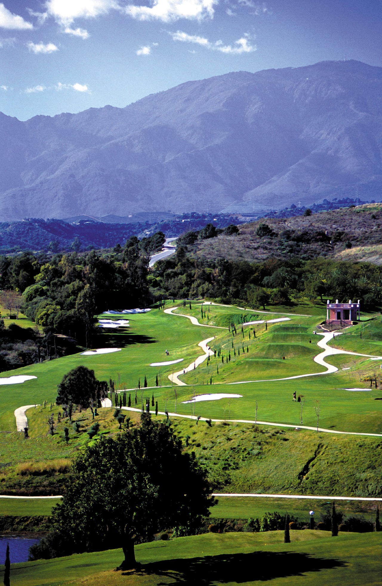 Villa Padierna Golf Club | Flamingos