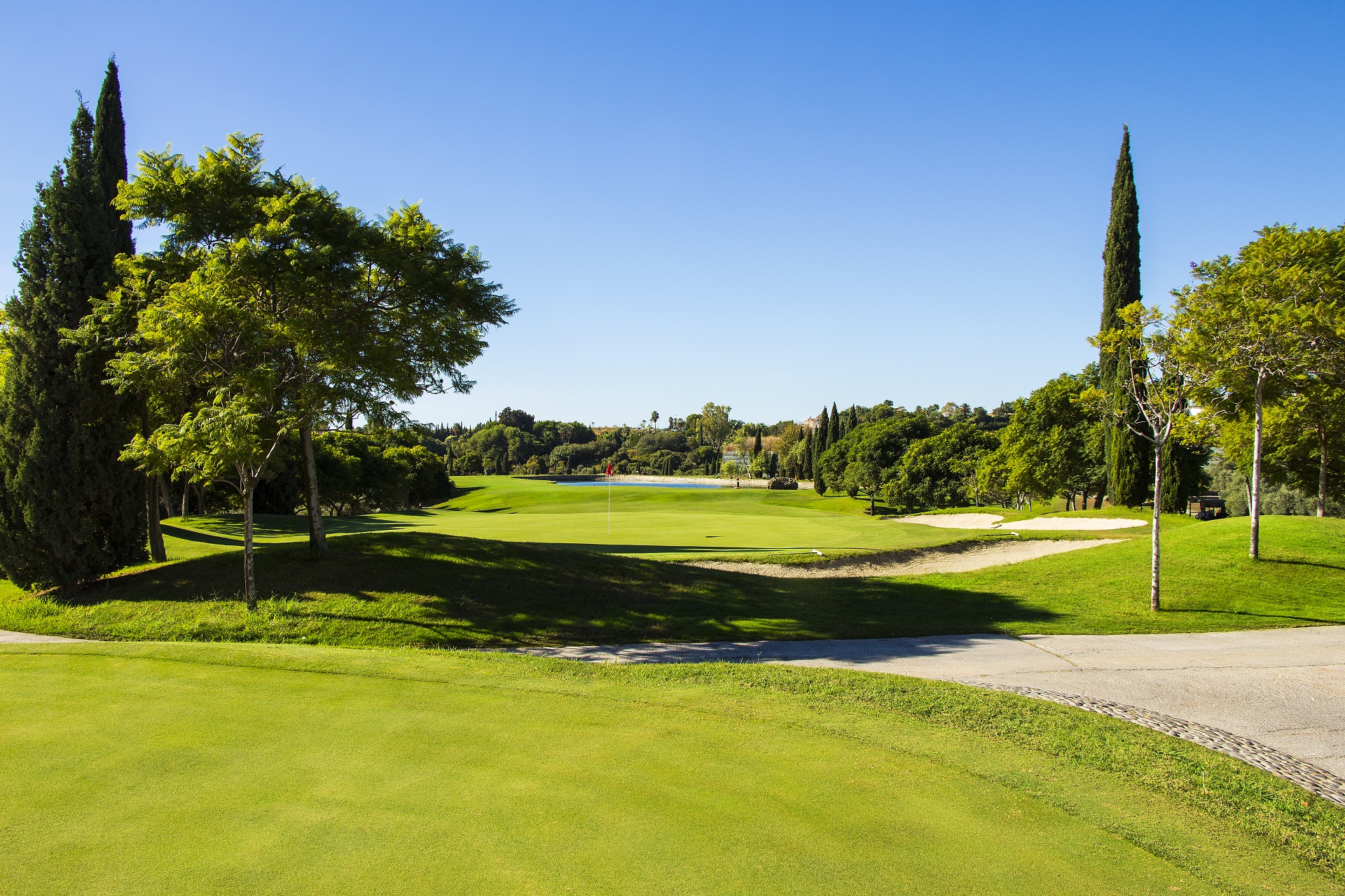Villa Padierna Golf Club | Flamingos