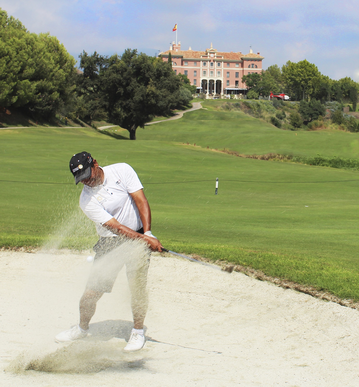 Villa Padierna Golf Club | Flamingos