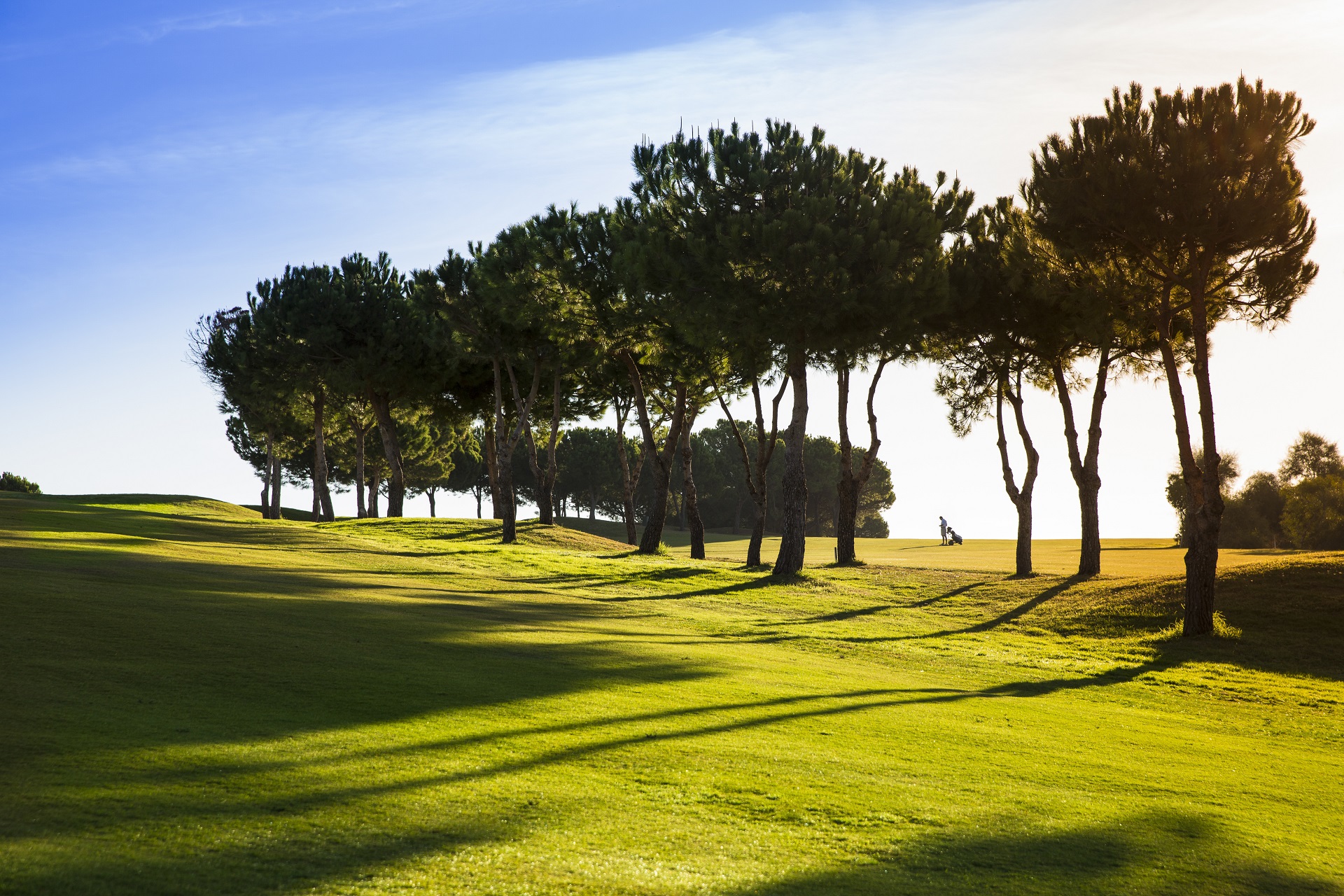Añoreta Golf Resort