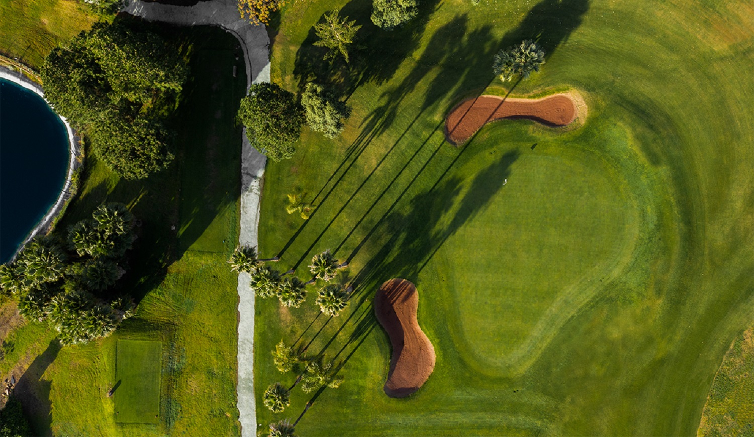 Añoreta Golf Resort