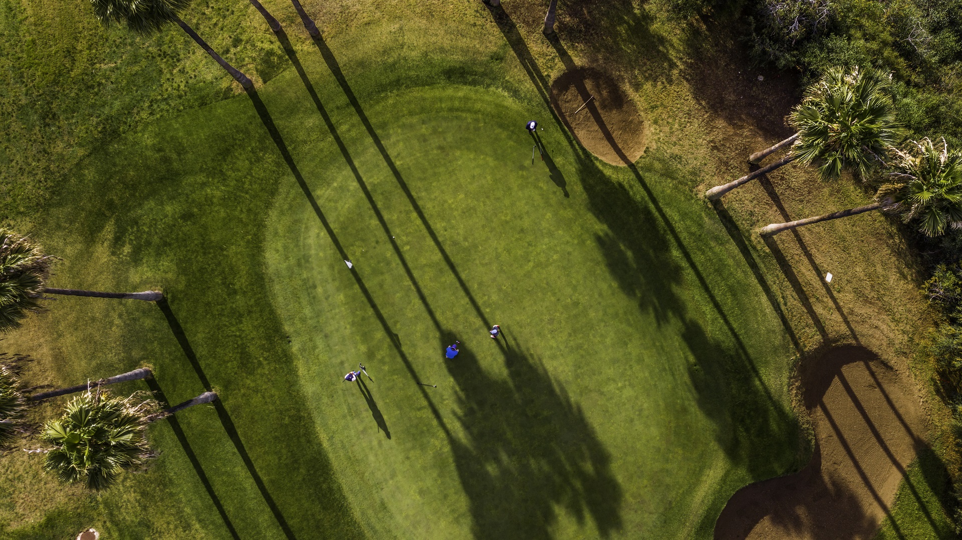 Añoreta Golf Resort
