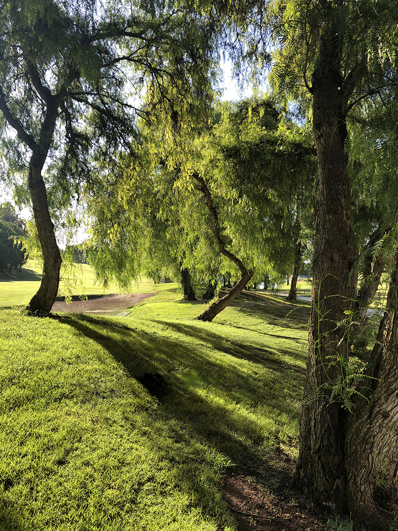 Añoreta Golf Resort