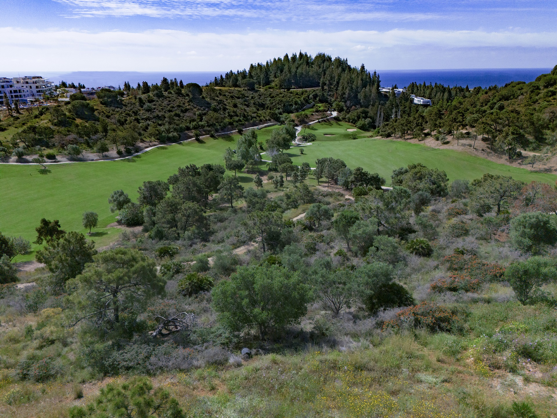 Chaparral Golf Club