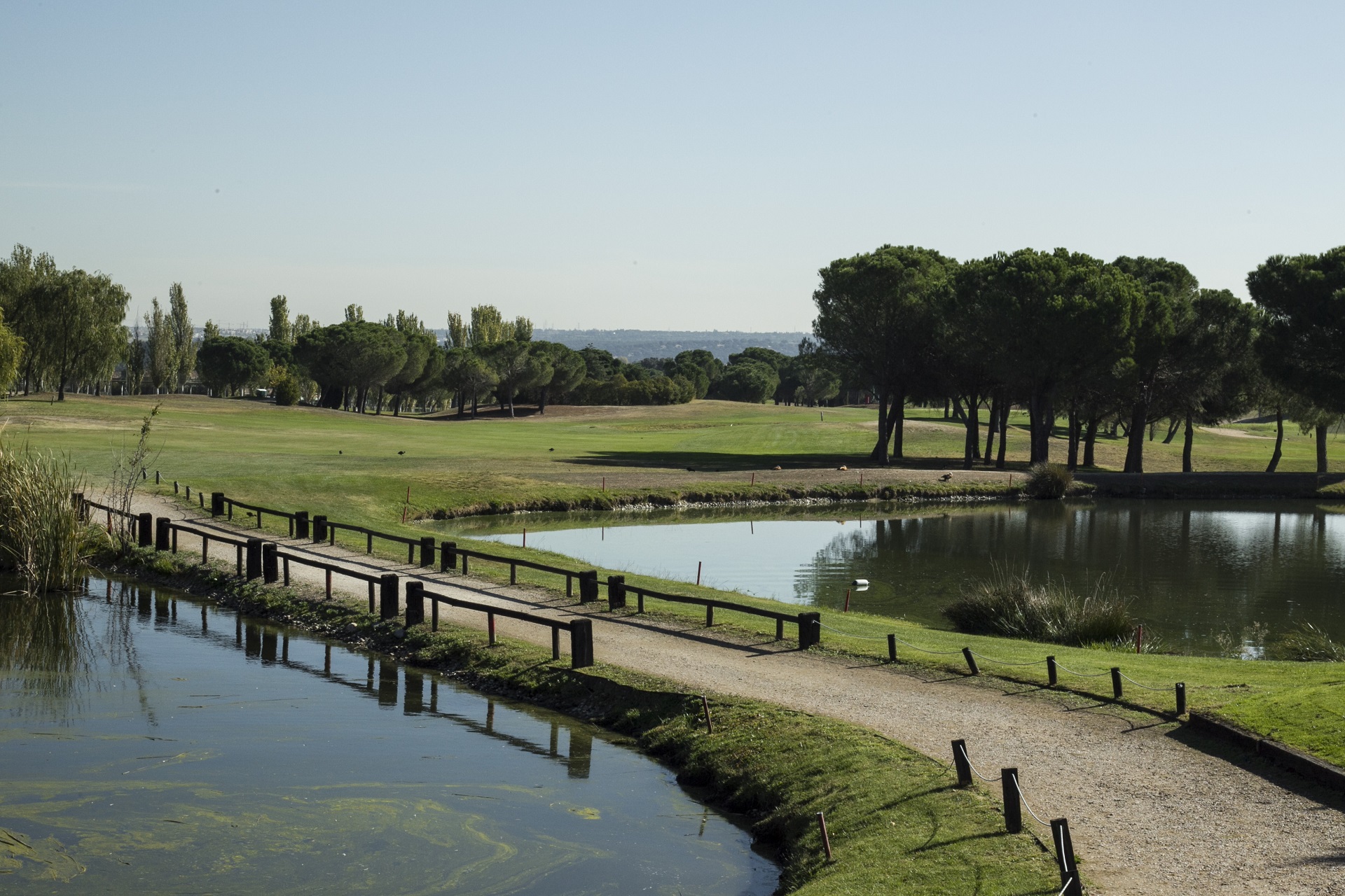 Club de Golf La Dehesa | Golf i Madrid