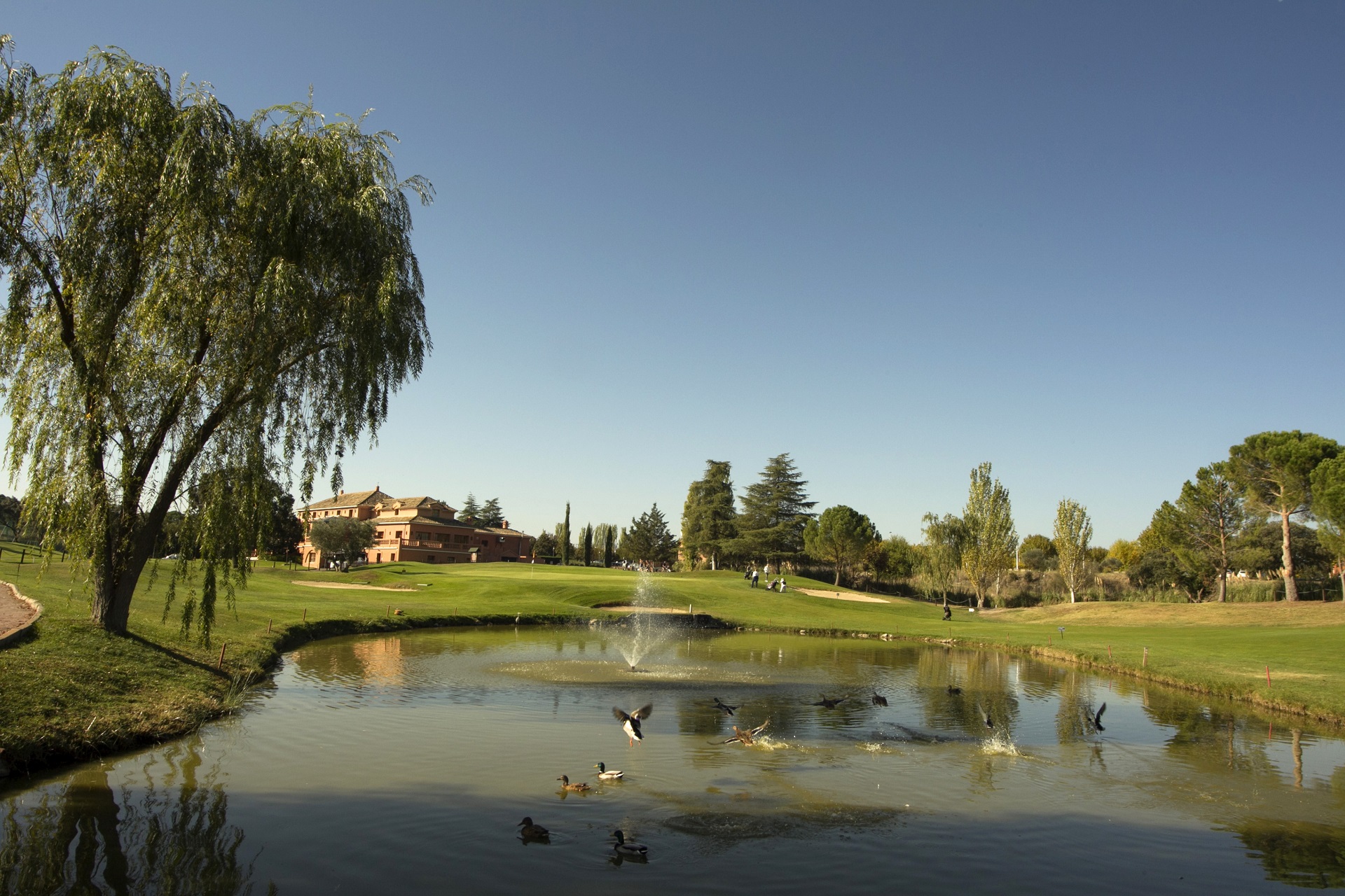 Club de Golf La Dehesa | Golf i Madrid