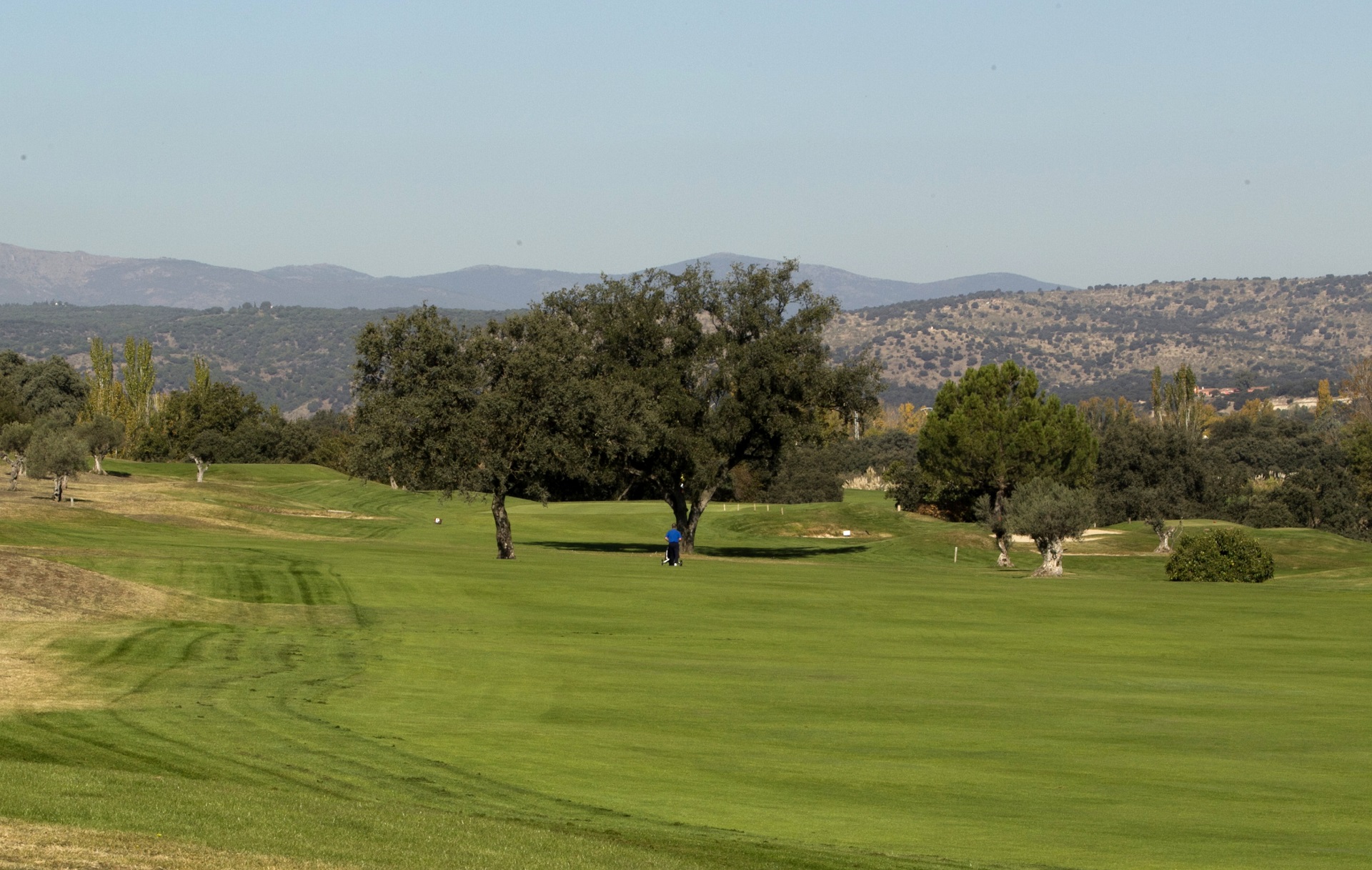Club de Golf La Dehesa | Golf i Madrid
