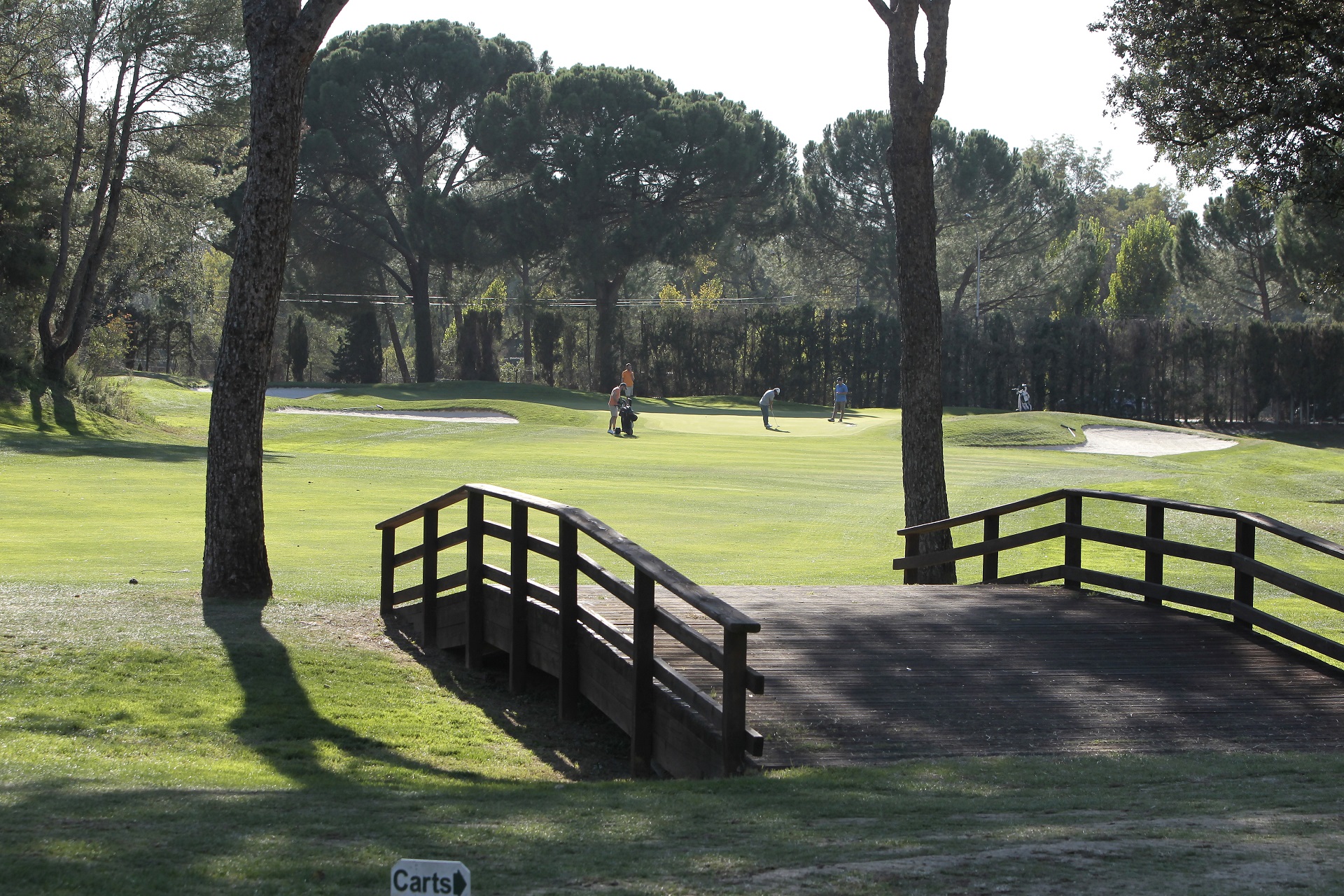 Real Club de Golf Lomas-Bosque | Golf i Madrid