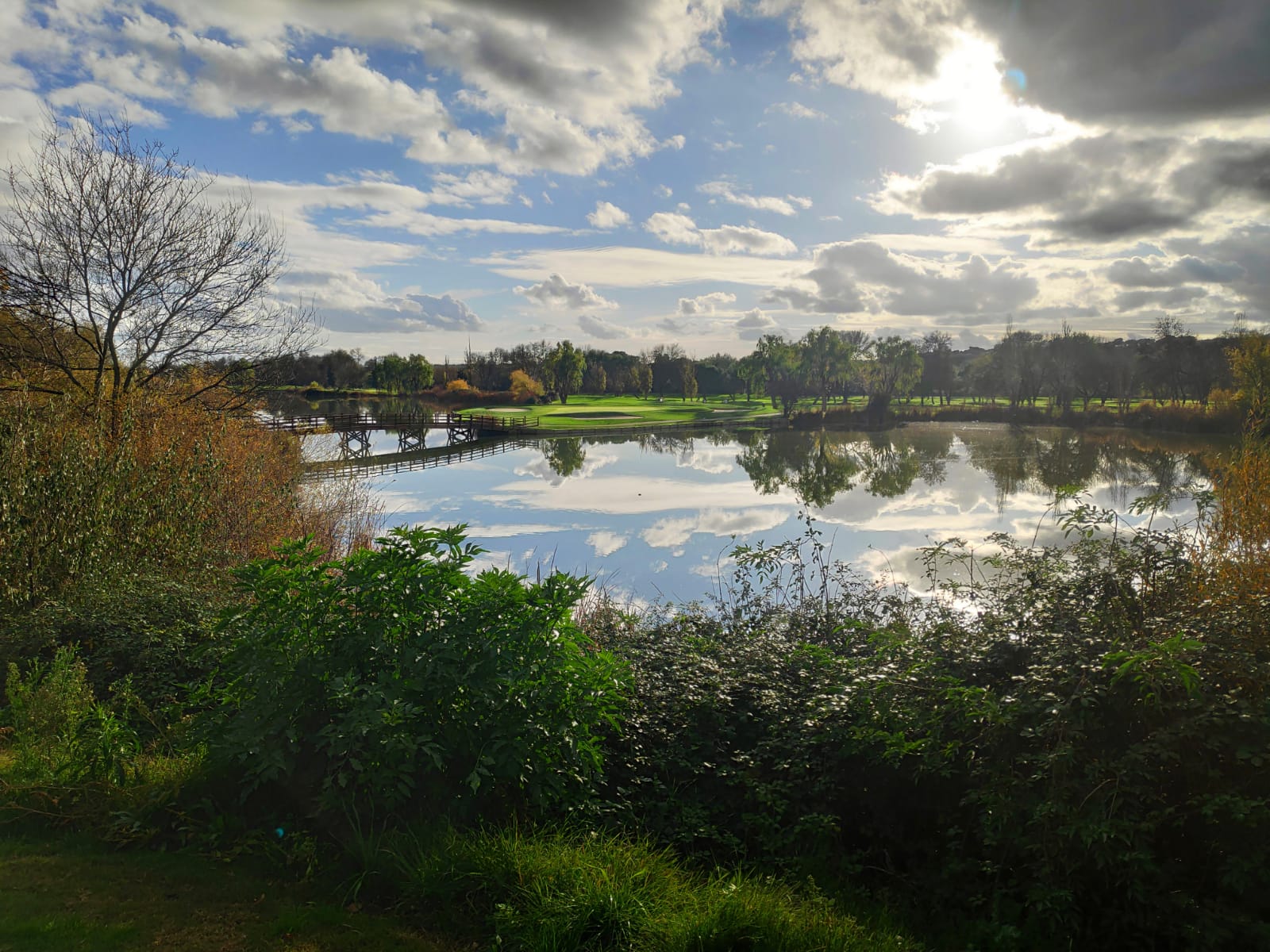 Real Club de Golf Lomas-Bosque | Golf i Madrid
