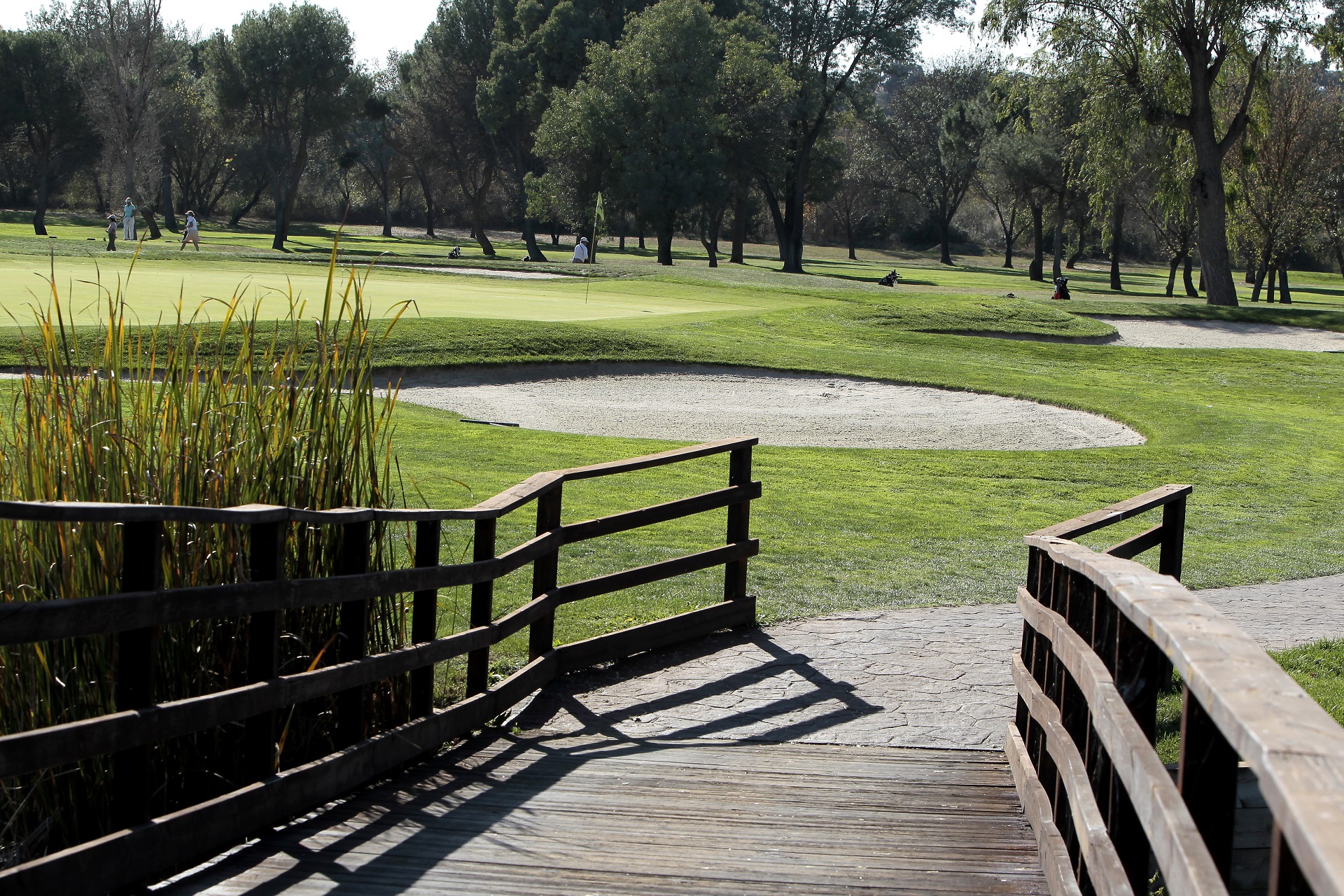 Real Club de Golf Lomas-Bosque | Golf i Madrid