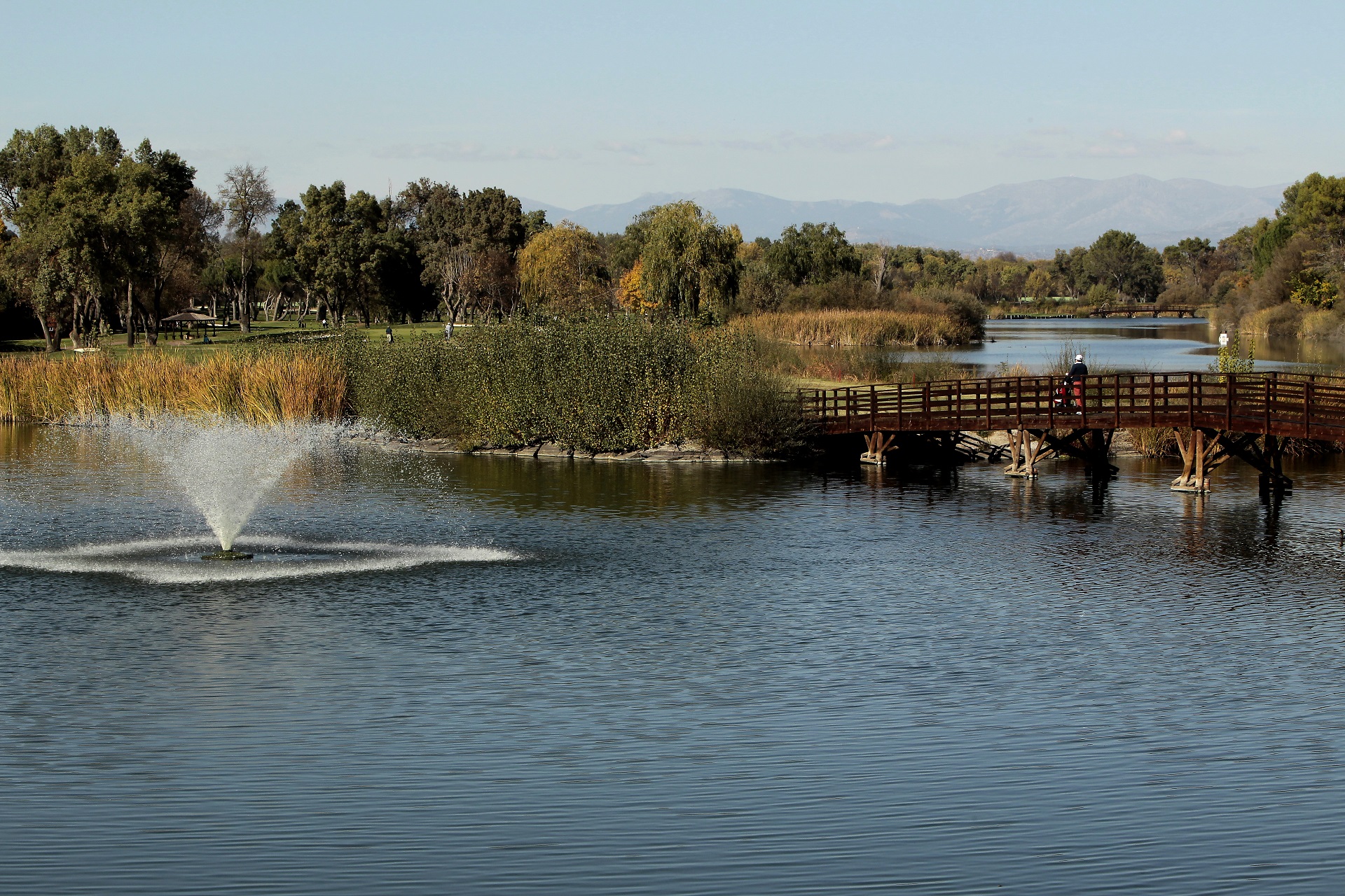Real Club de Golf Lomas-Bosque | Golf i Madrid