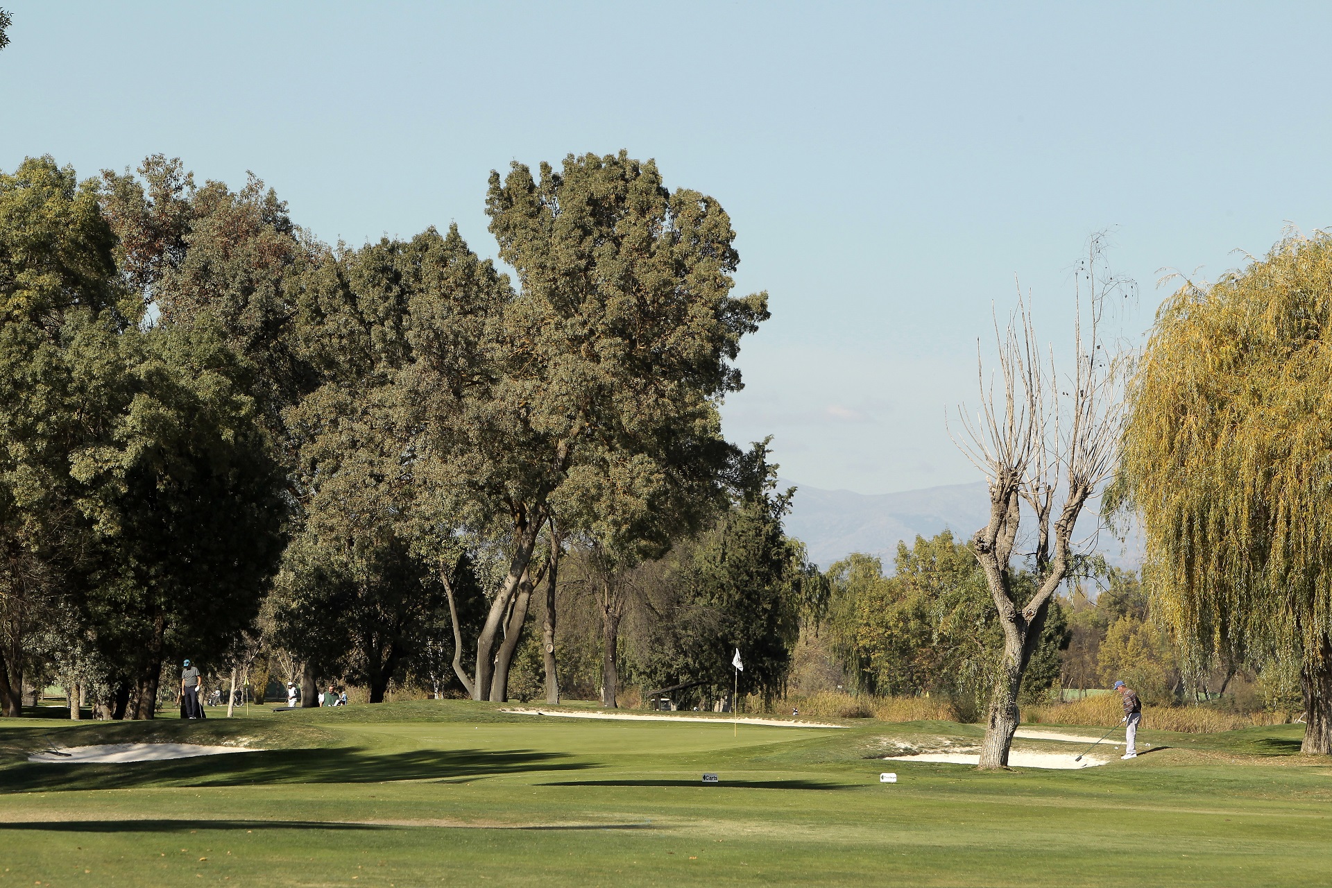 Real Club de Golf Lomas-Bosque | Golf i Madrid