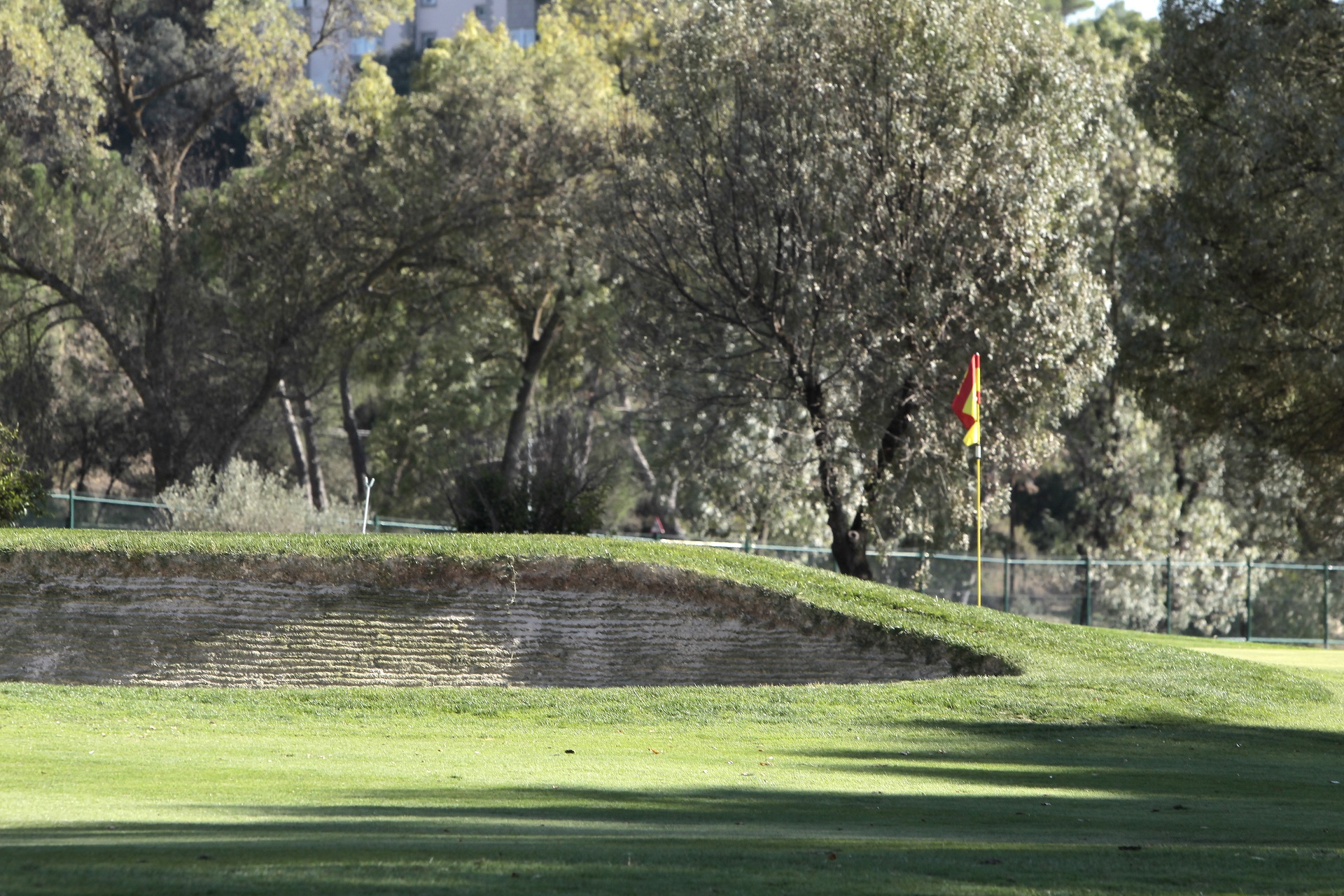 Real Club de Golf Lomas-Bosque | Golf i Madrid