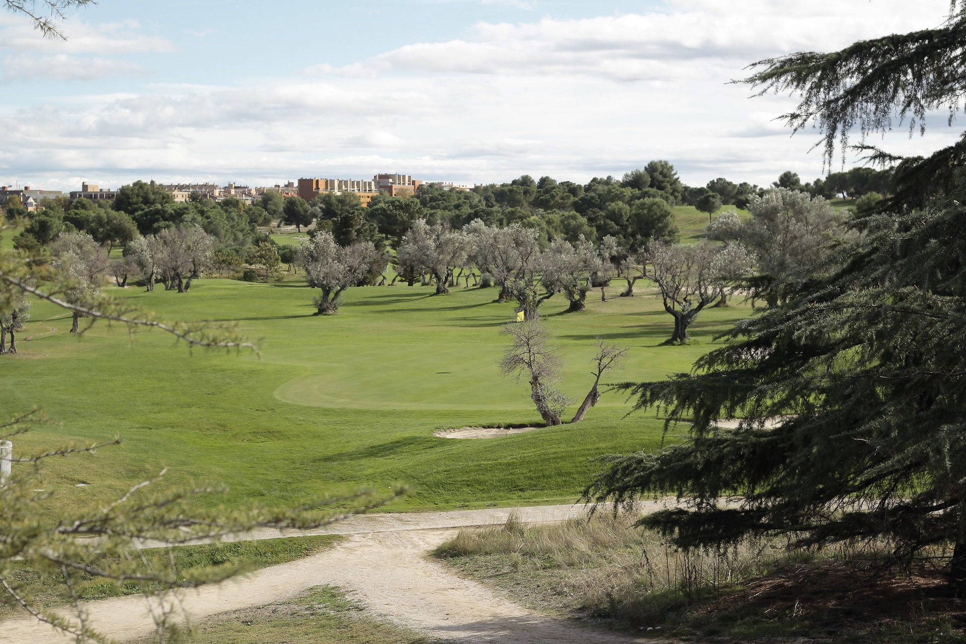 Club de Golf Olivar de la Hinojosa | Golf i Madrid