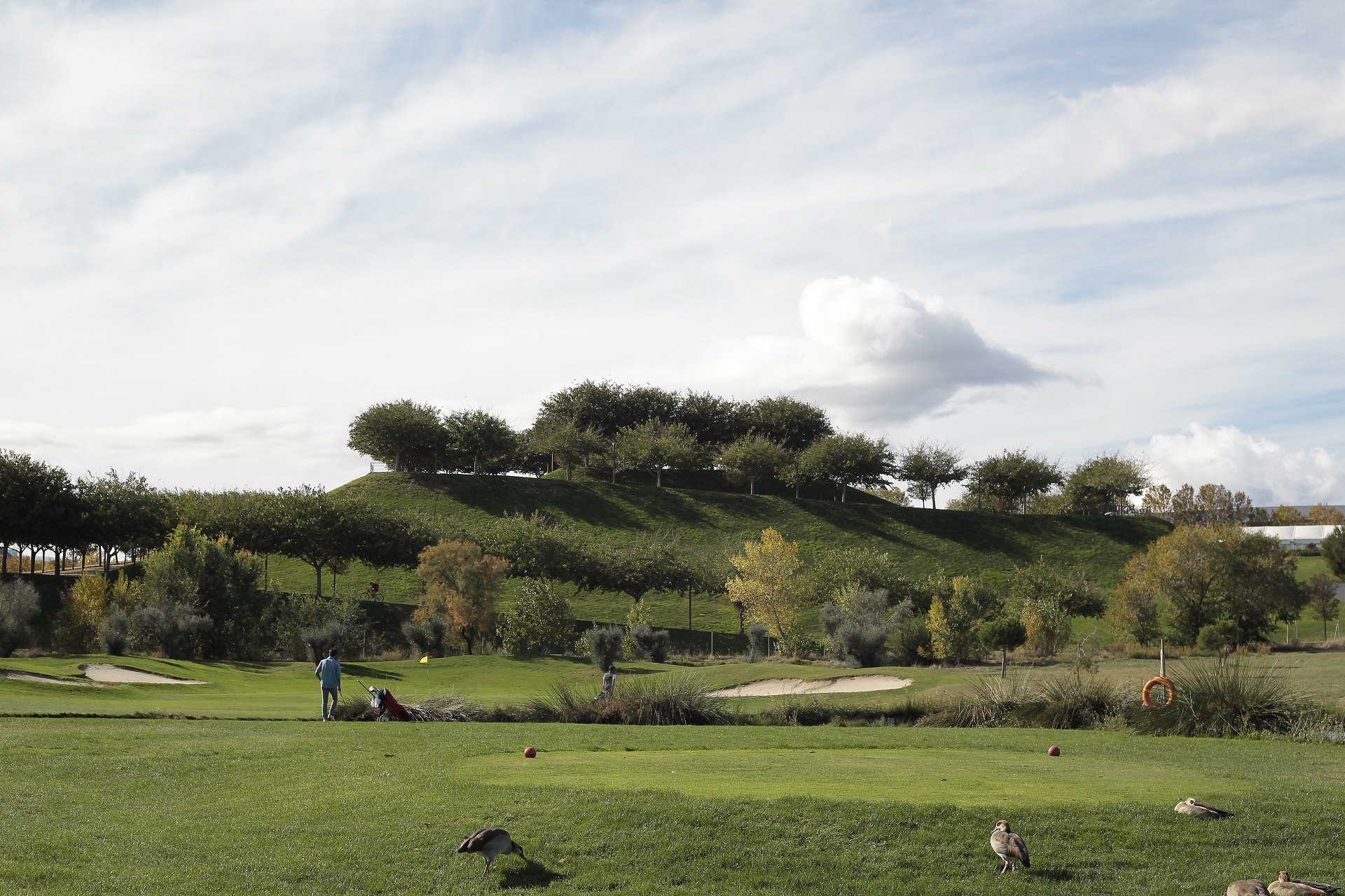 Club de Golf Olivar de la Hinojosa | Golf i Madrid